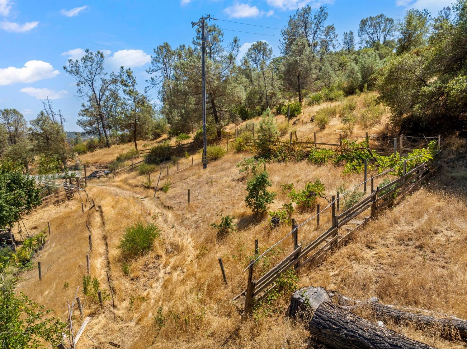 Detail Gallery Image 73 of 90 For 1720 Pleasant Ranch Ct, Placerville,  CA 95667 - 3 Beds | 2 Baths