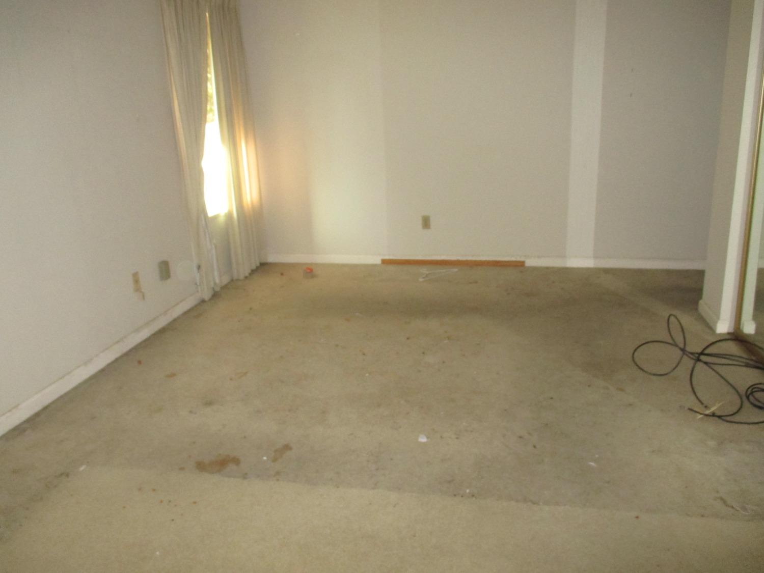 Photo #12: 224060184 Listing 