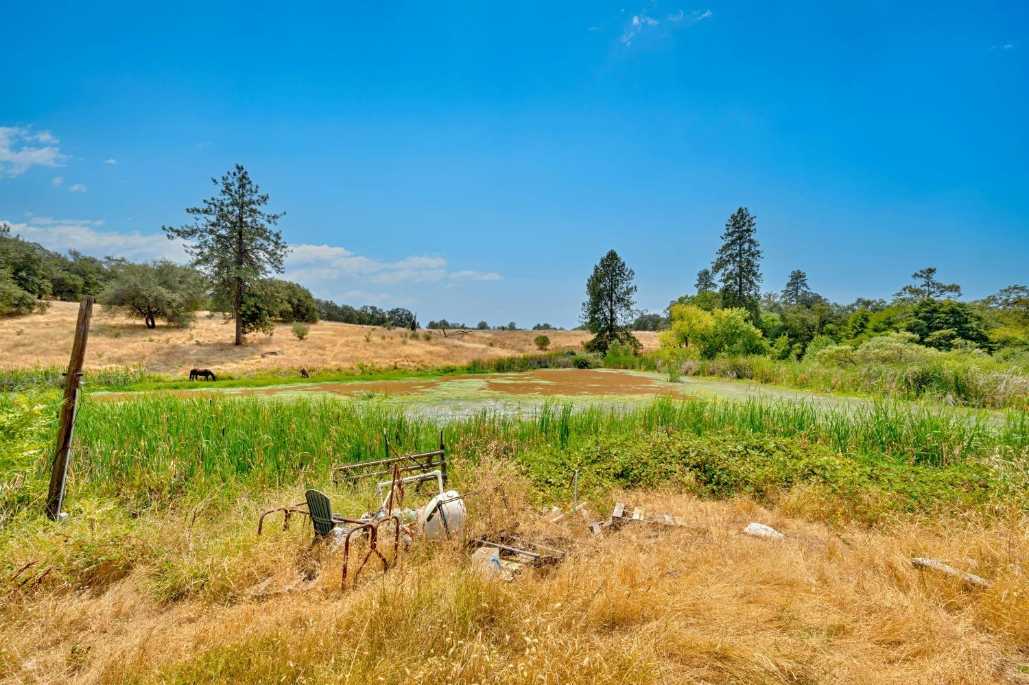 Detail Gallery Image 36 of 50 For 2110 Precision Pl, Auburn,  CA 95603 - 2 Beds | 1 Baths