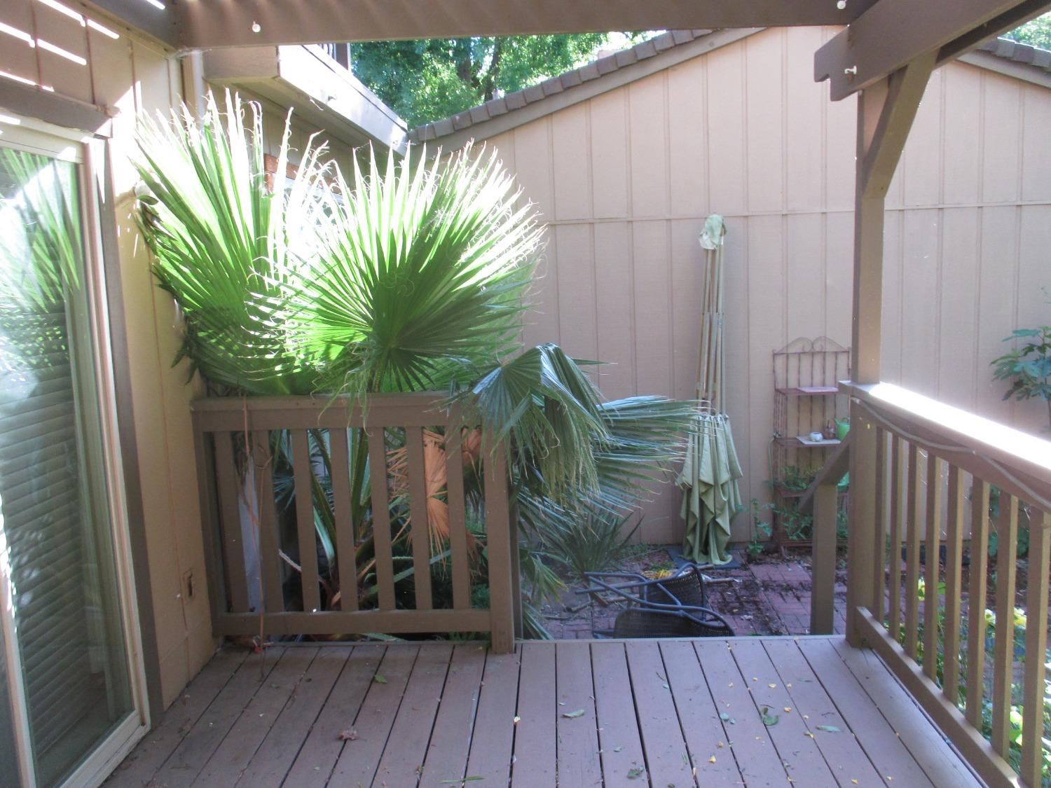 Photo #7: 224060184 Listing 