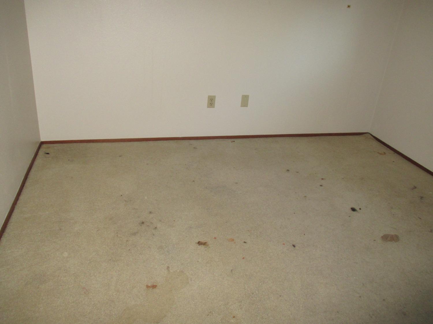 Photo #10: 224060184 Listing 