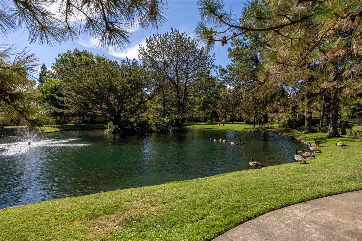 Detail Gallery Image 33 of 42 For 879 Commons Dr, Sacramento,  CA 95825 - 2 Beds | 2 Baths