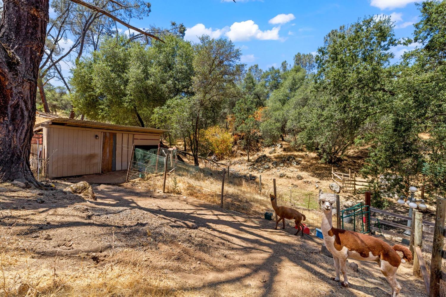 Detail Gallery Image 70 of 90 For 1720 Pleasant Ranch Ct, Placerville,  CA 95667 - 3 Beds | 2 Baths