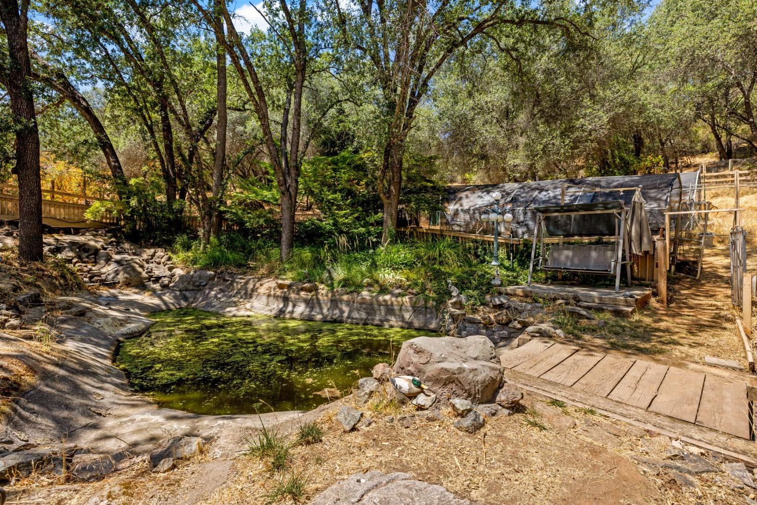 Detail Gallery Image 49 of 90 For 1720 Pleasant Ranch Ct, Placerville,  CA 95667 - 3 Beds | 2 Baths