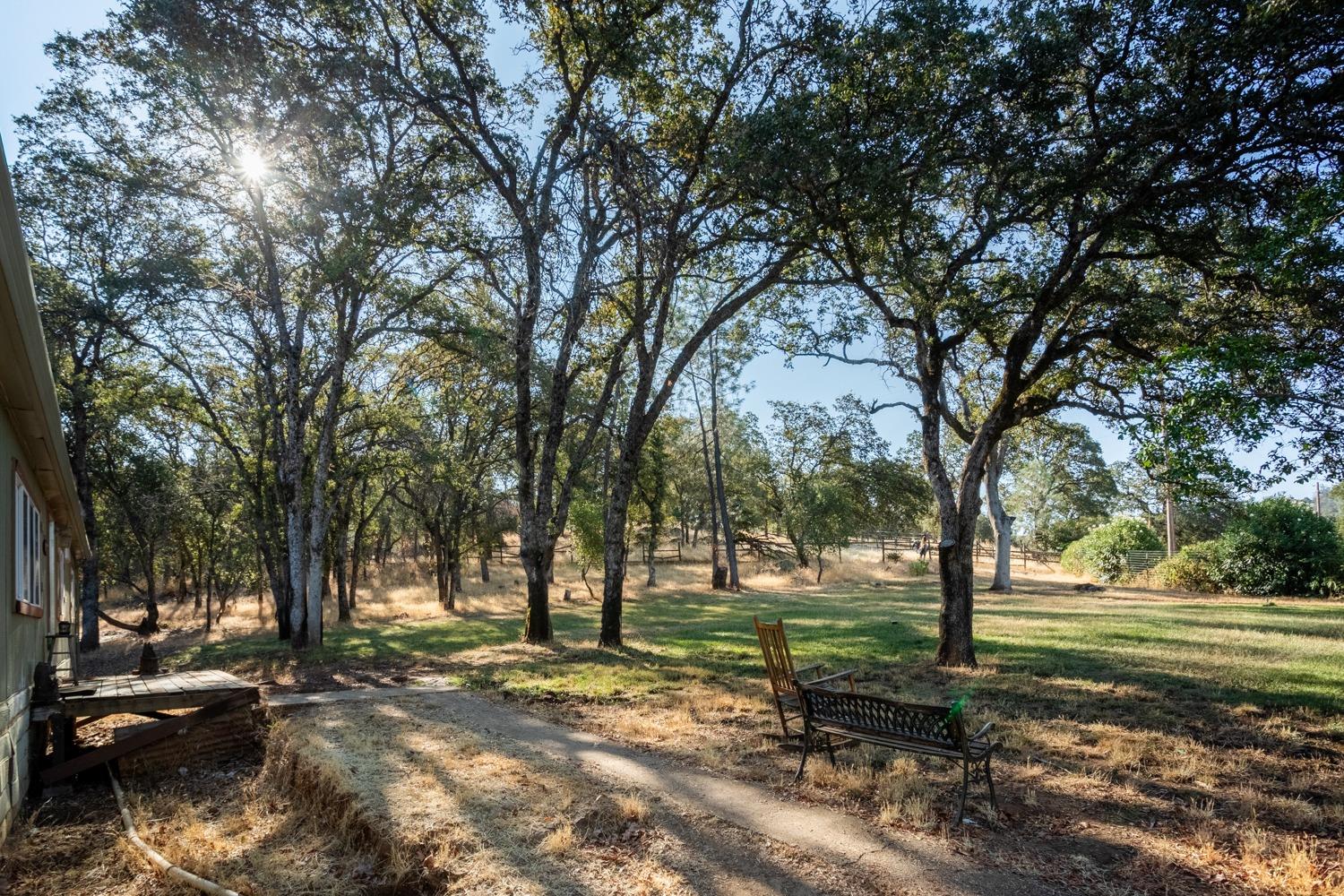 White Oak Lane, Browns Valley, California image 33