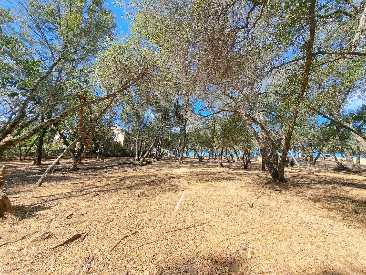 Detail Gallery Image 3 of 9 For 6087 Aldea Dr, El Dorado Hills,  CA 95762 - – Beds | – Baths