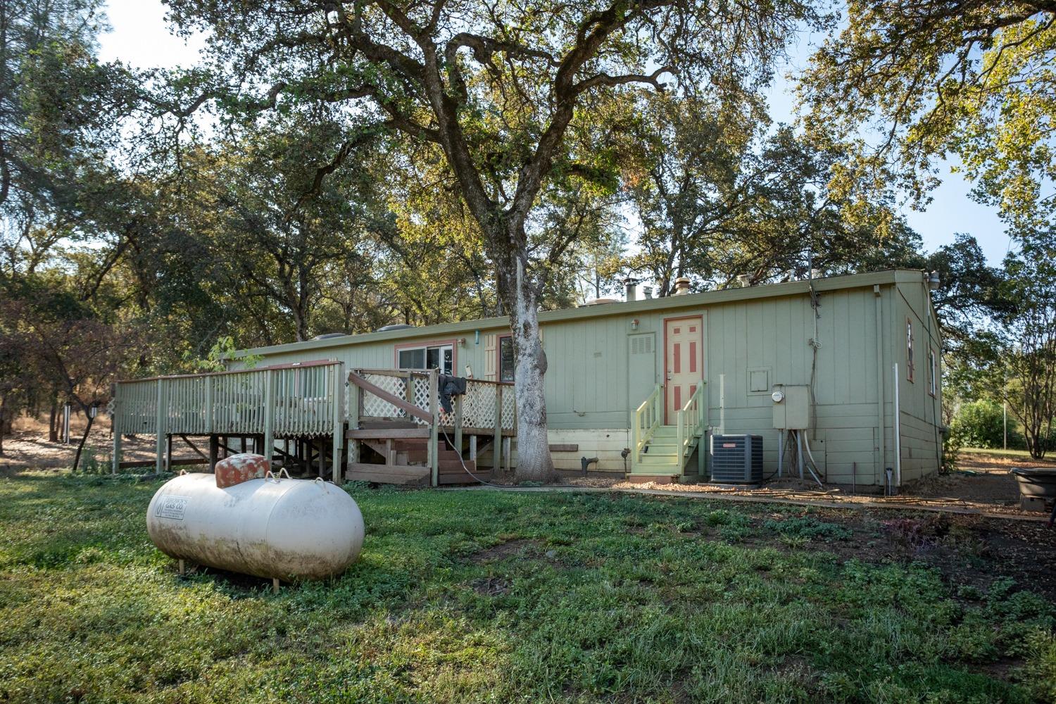 White Oak Lane, Browns Valley, California image 7