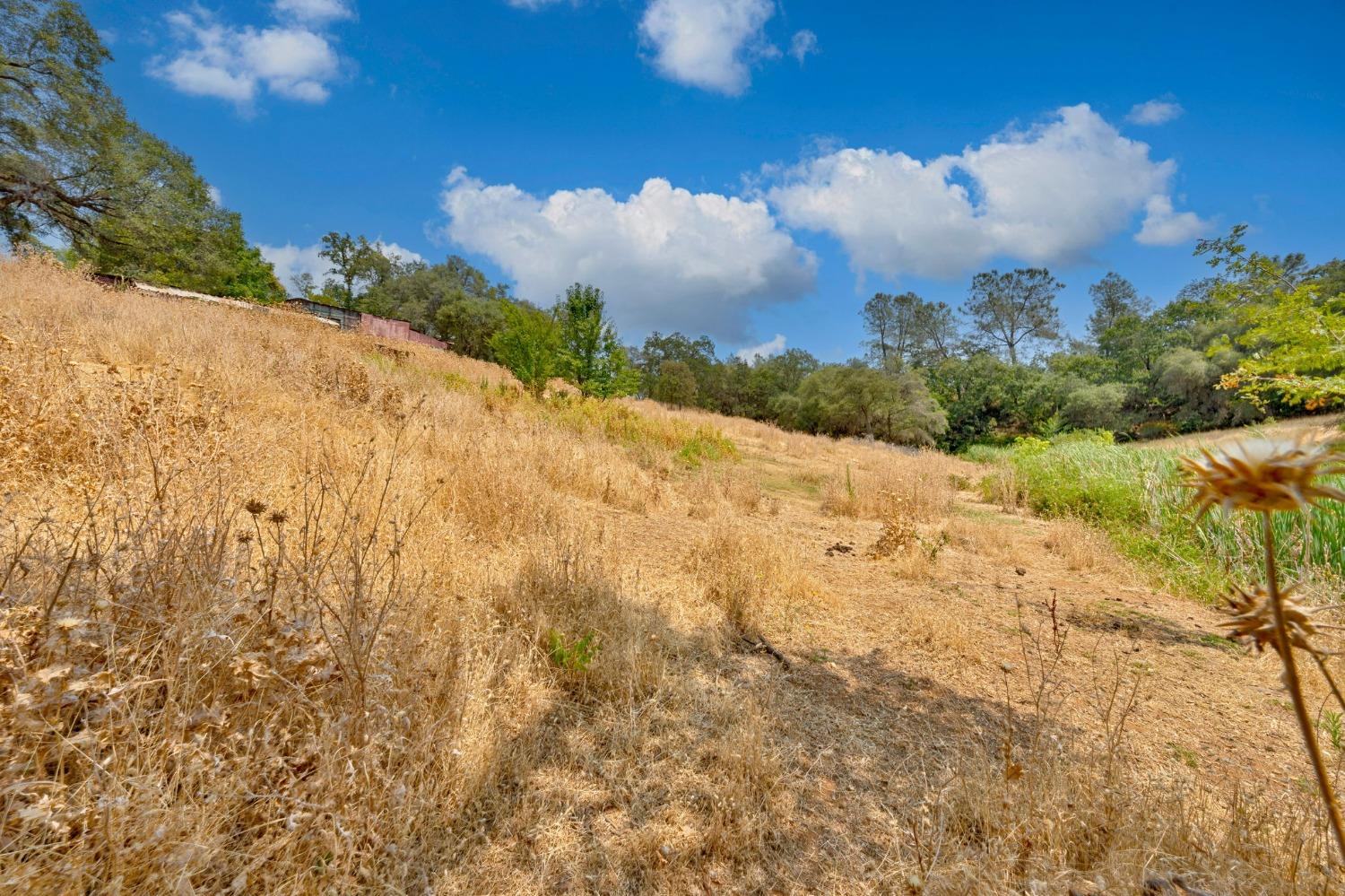 Detail Gallery Image 35 of 50 For 2110 Precision Pl, Auburn,  CA 95603 - 2 Beds | 1 Baths