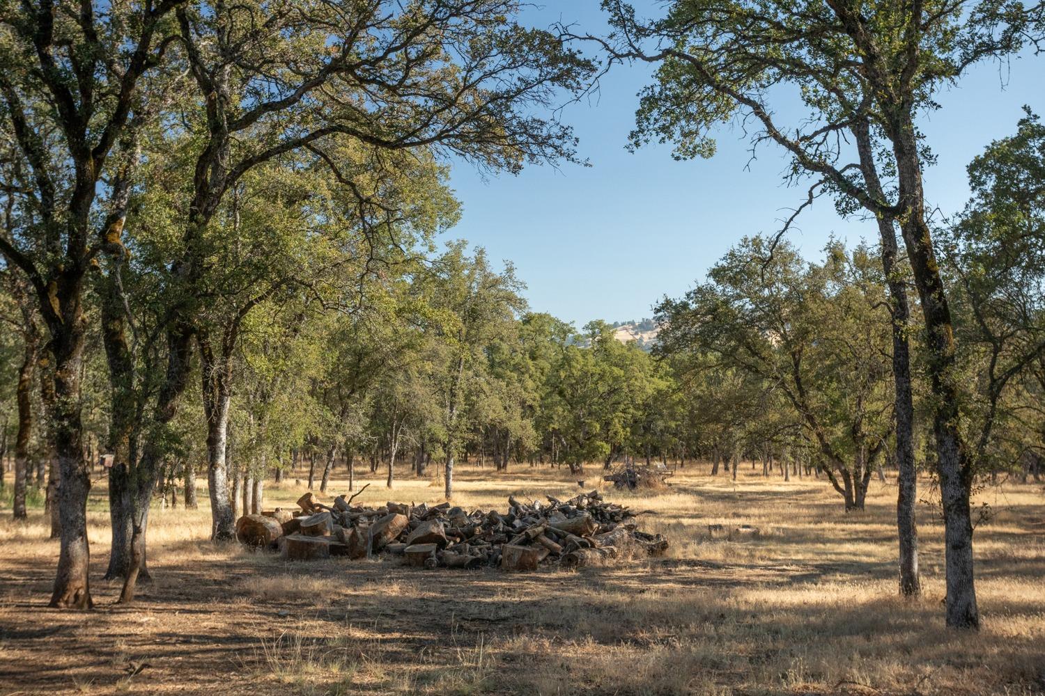 White Oak Lane, Browns Valley, California image 43