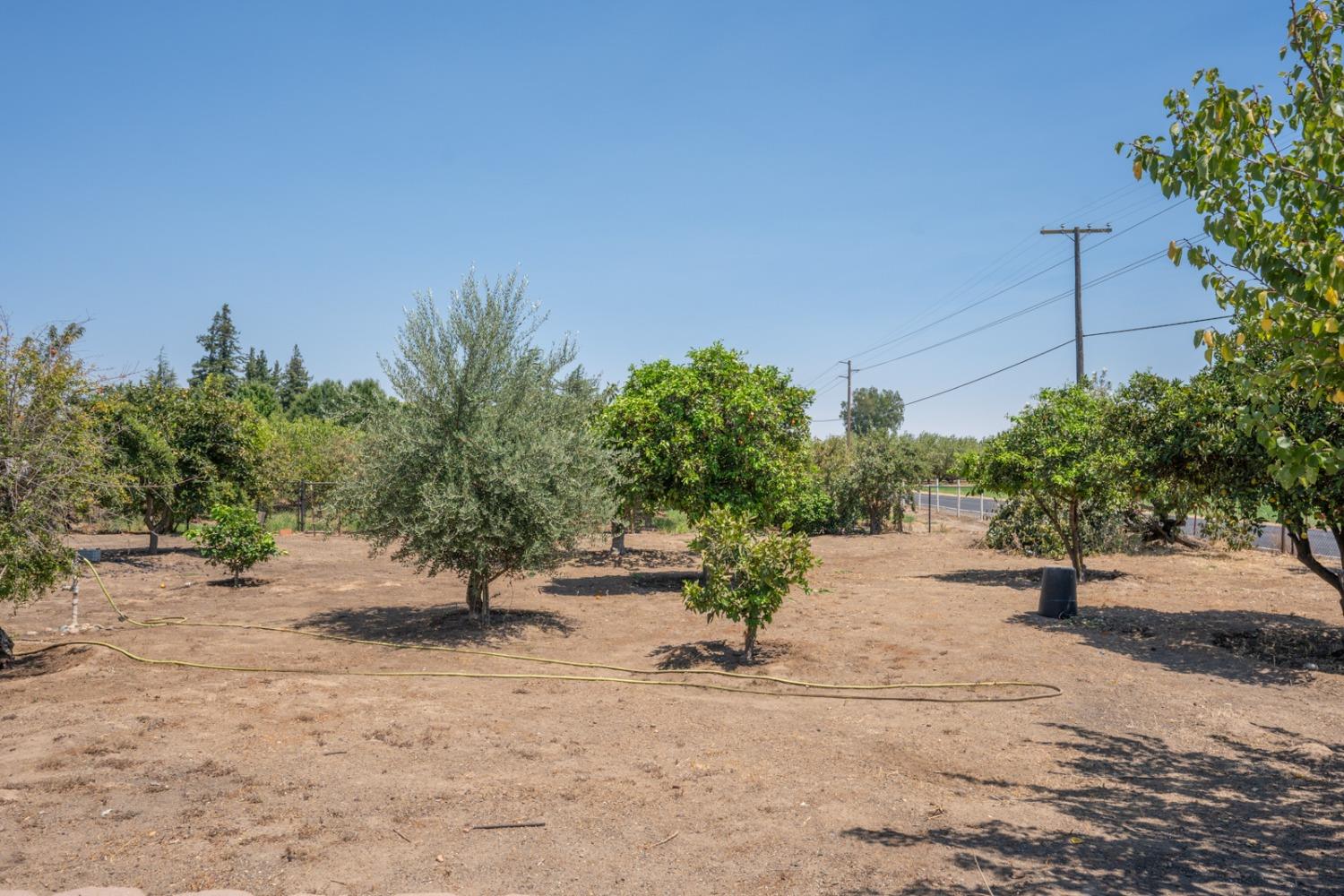 E Keyes Road, Denair, California image 7