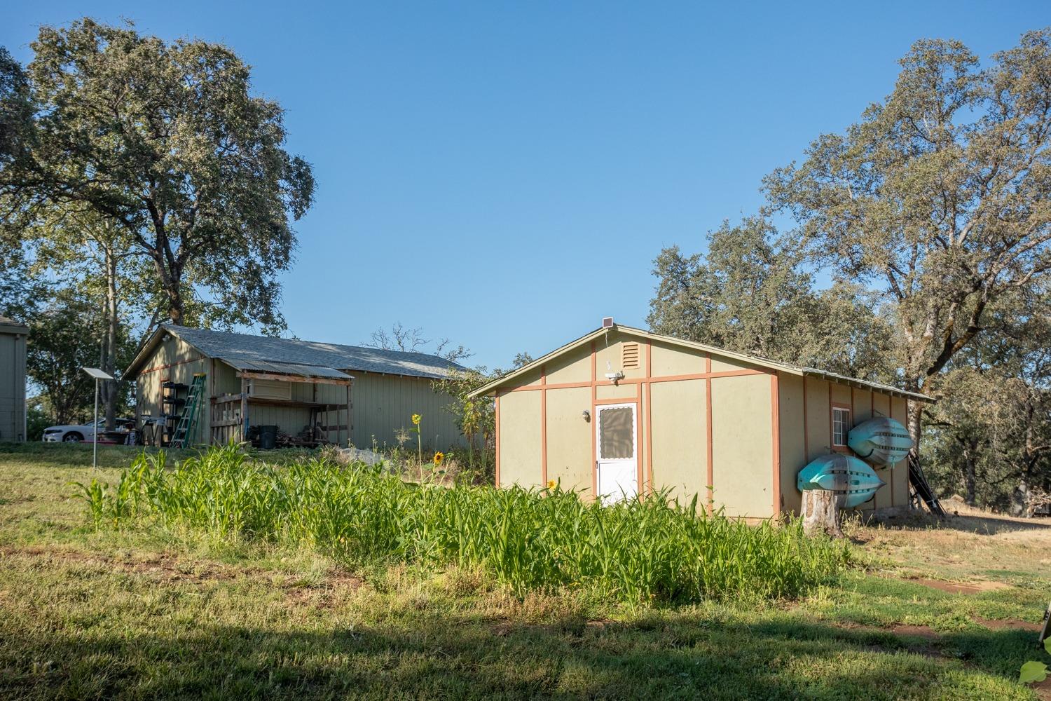 White Oak Lane, Browns Valley, California image 18