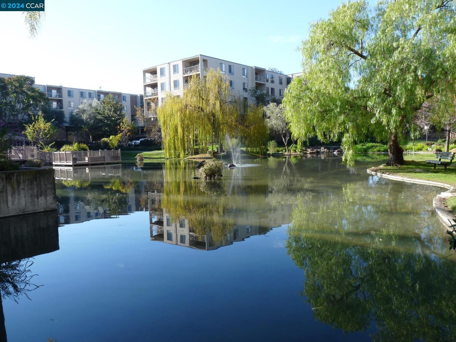 Detail Gallery Image 17 of 31 For 330 N Civic Dr #204,  Walnut Creek,  CA 94596 - 1 Beds | 1 Baths