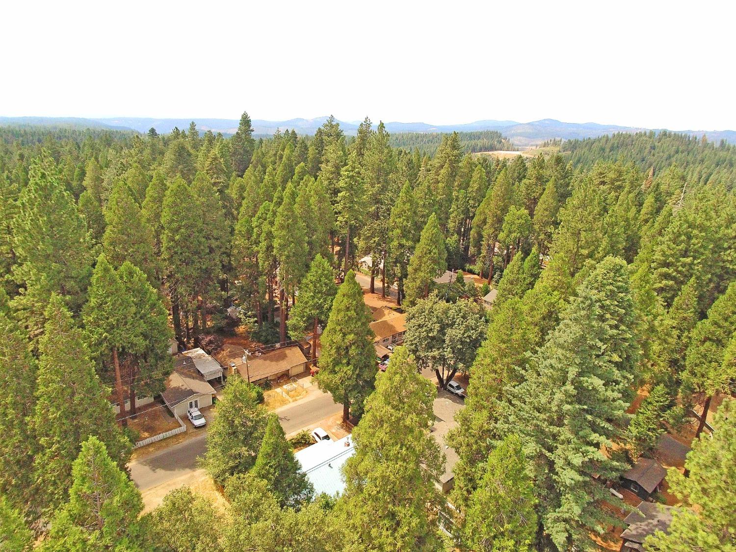 Fairview Drive, Pollock Pines, California image 11