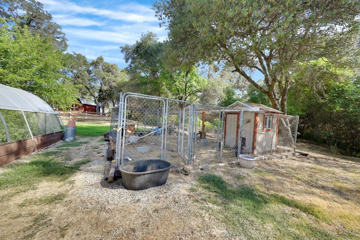 Sandy Way, Rough and Ready, California image 42