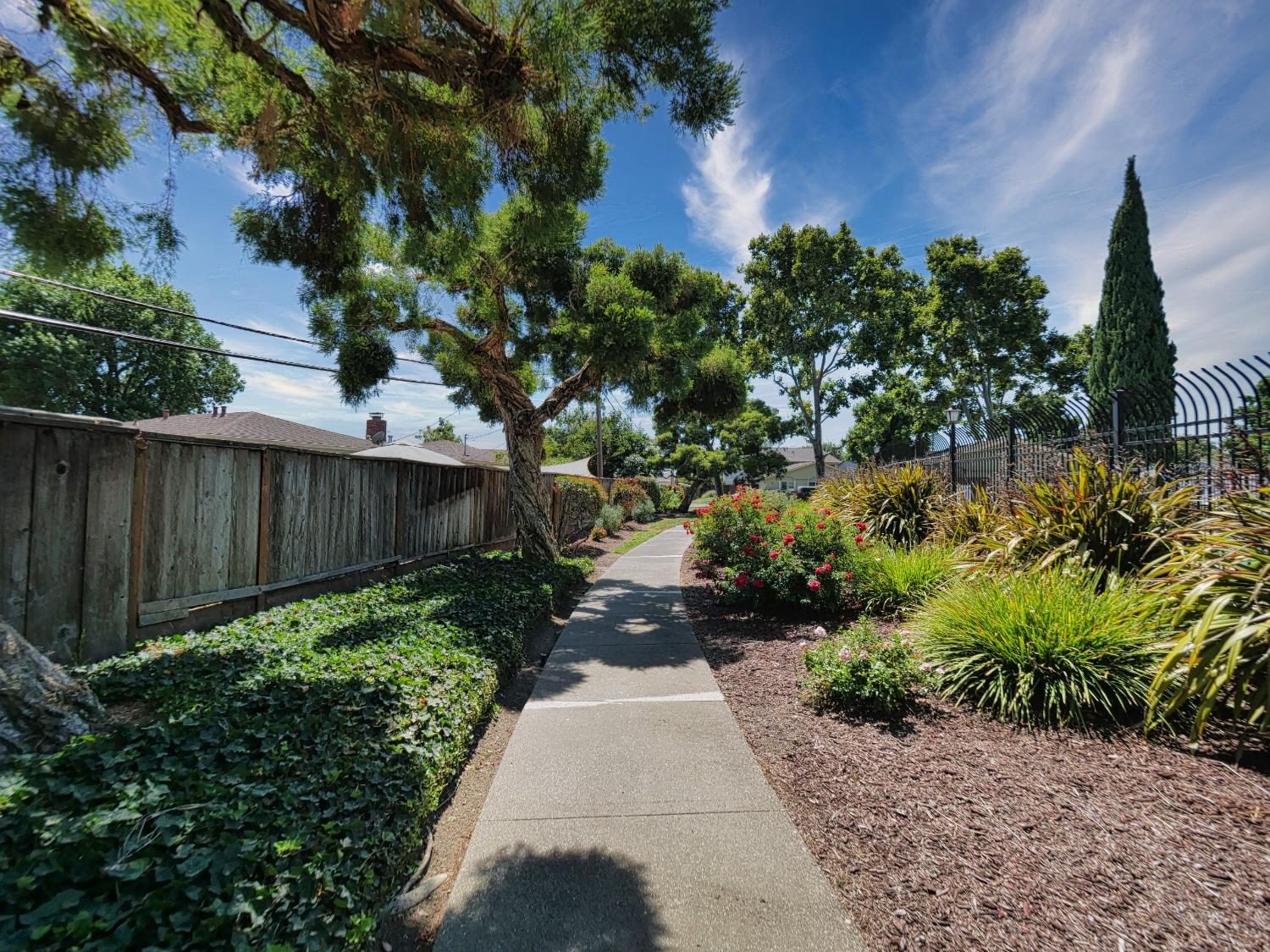 Detail Gallery Image 27 of 29 For 338 San Petra Ct #1,  Milpitas,  CA 95035 - 3 Beds | 2 Baths