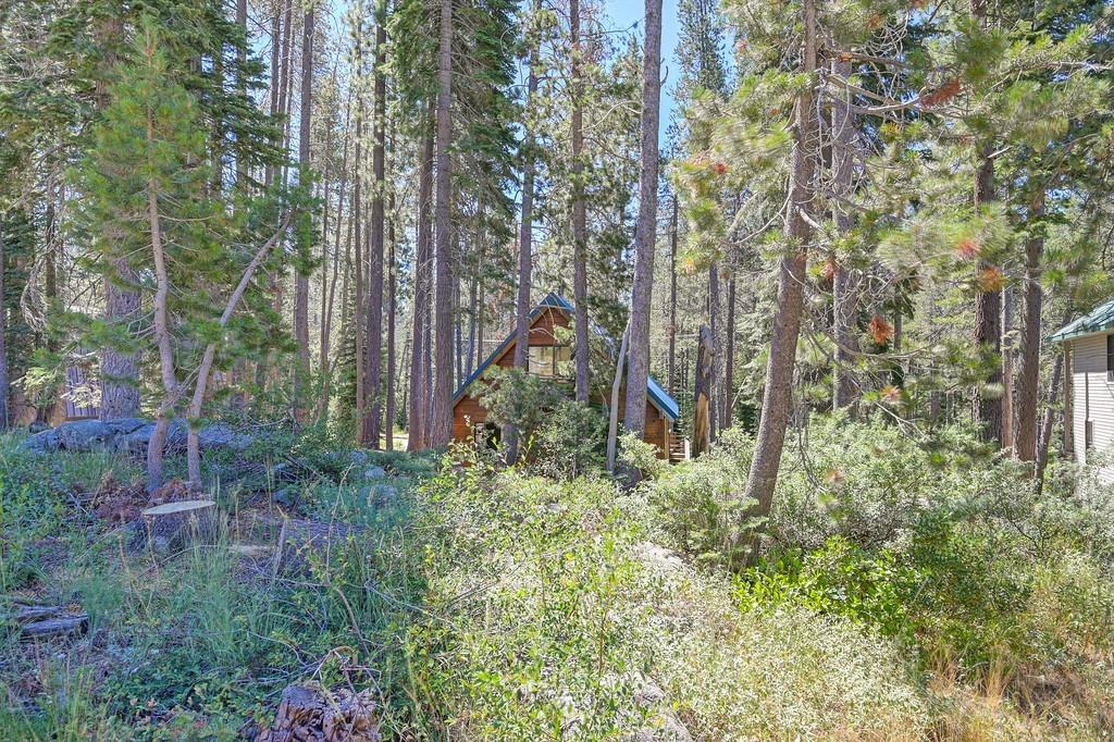 Detail Gallery Image 52 of 61 For 50288 Conifer Dr, Soda Springs,  CA 95728 - 2 Beds | 2 Baths