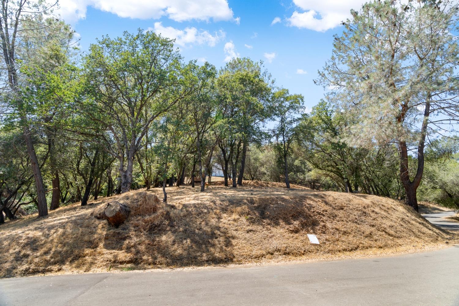 Detail Gallery Image 22 of 22 For 520 Torero Way, El Dorado Hills,  CA 95762 - – Beds | – Baths