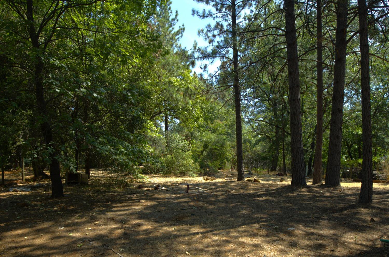 Alta Sierra Drive, Grass Valley, California image 19