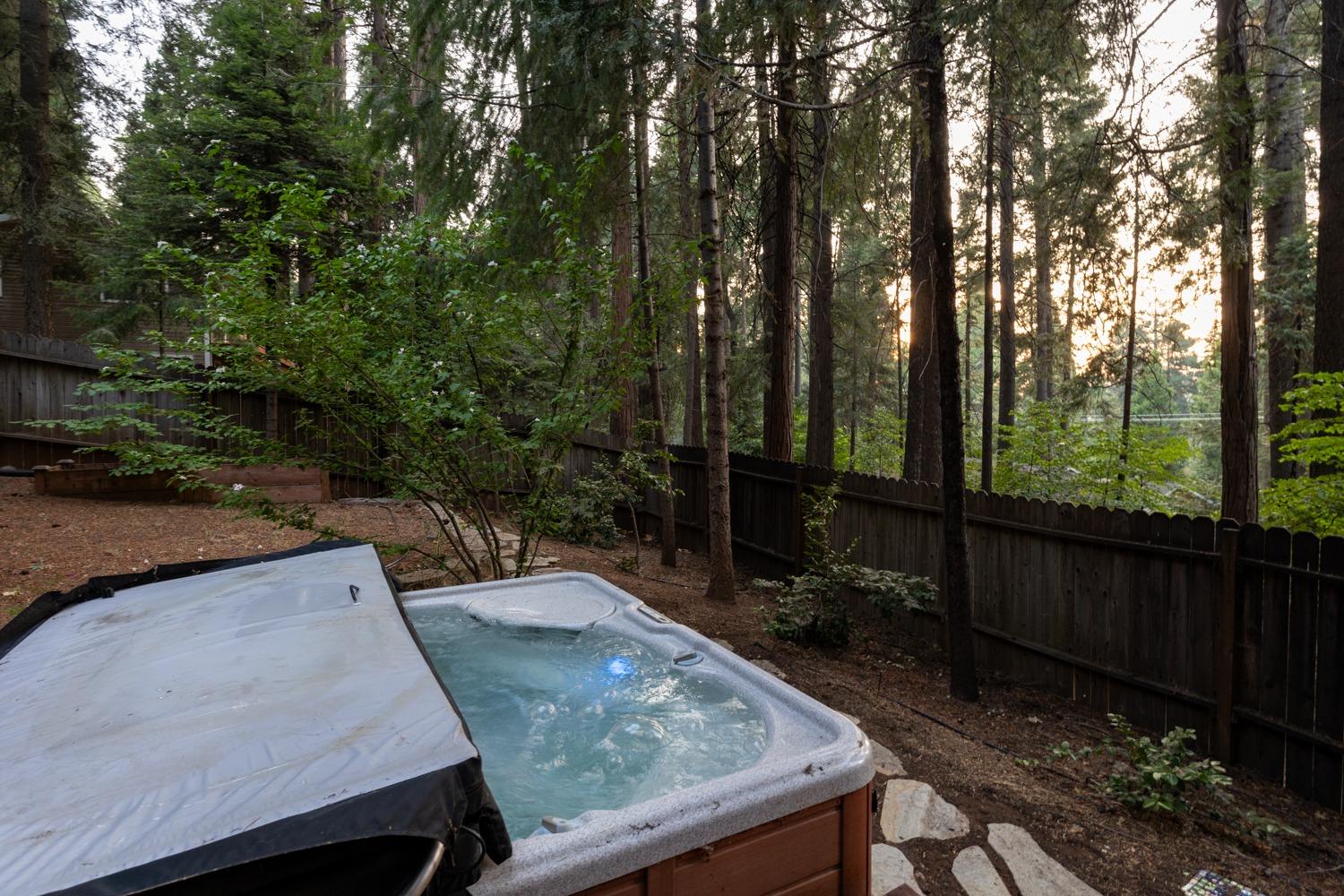 Detail Gallery Image 6 of 45 For 6725 Onyx, Pollock Pines,  CA 95726 - 3 Beds | 2/1 Baths