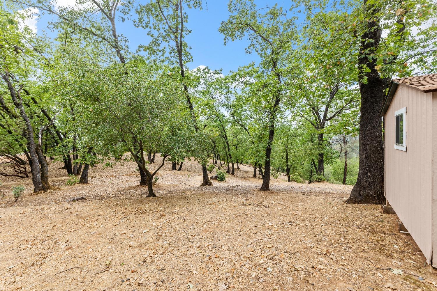 Detail Gallery Image 53 of 62 For 5353 Silver Lode Dr, Placerville,  CA 95667 - 3 Beds | 2/1 Baths