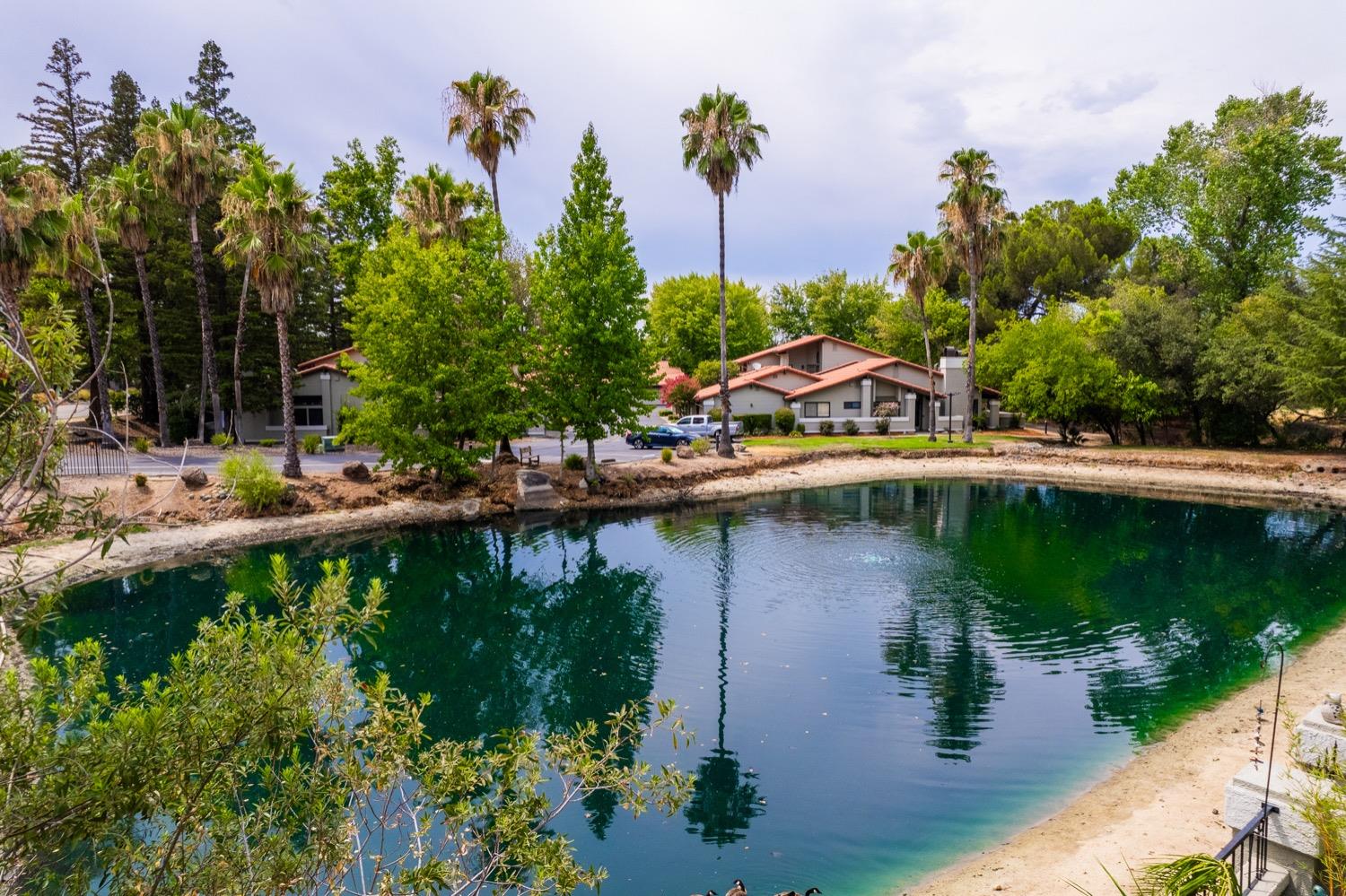 Detail Gallery Image 34 of 44 For 4710 El Cortez Dr, Rocklin,  CA 95677 - 3 Beds | 2 Baths