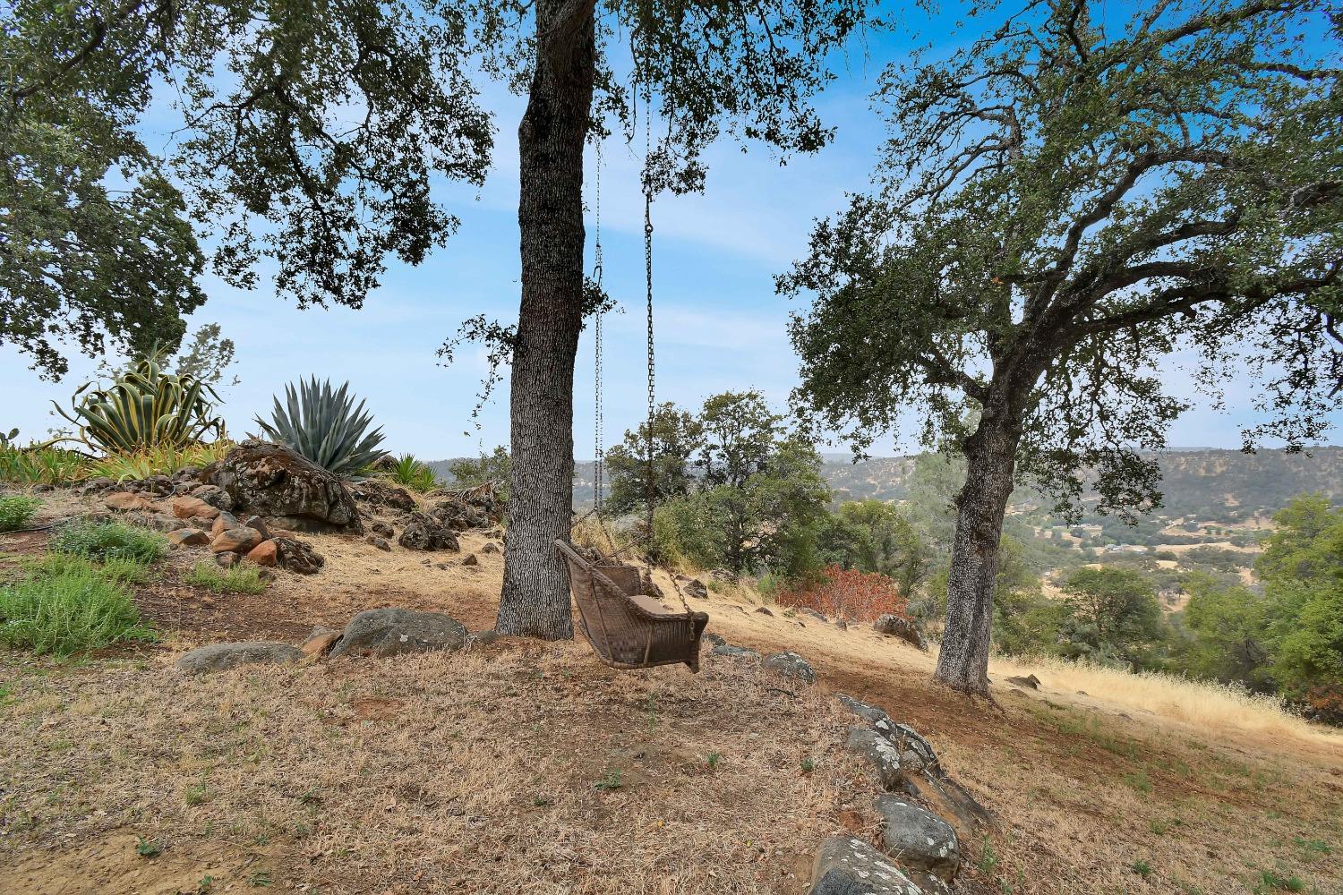 Mountain View Terrace, Browns Valley, California image 3