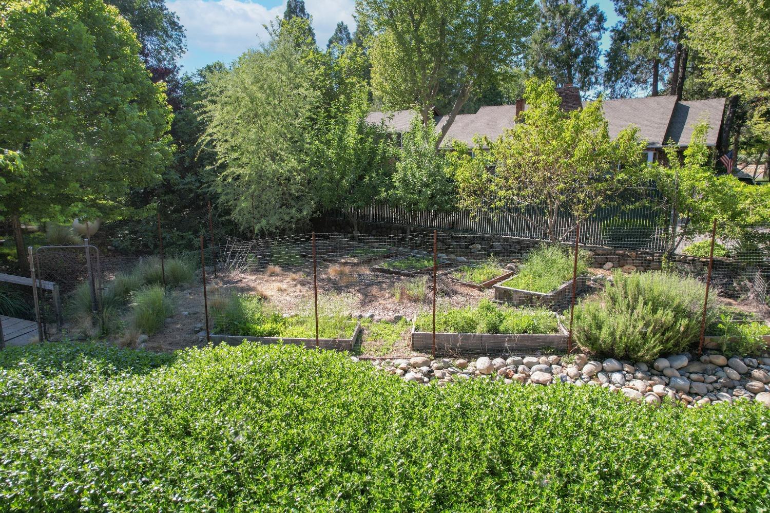 Detail Gallery Image 21 of 26 For 2726 Coloma St, Placerville,  CA 95667 - 3 Beds | 3/1 Baths