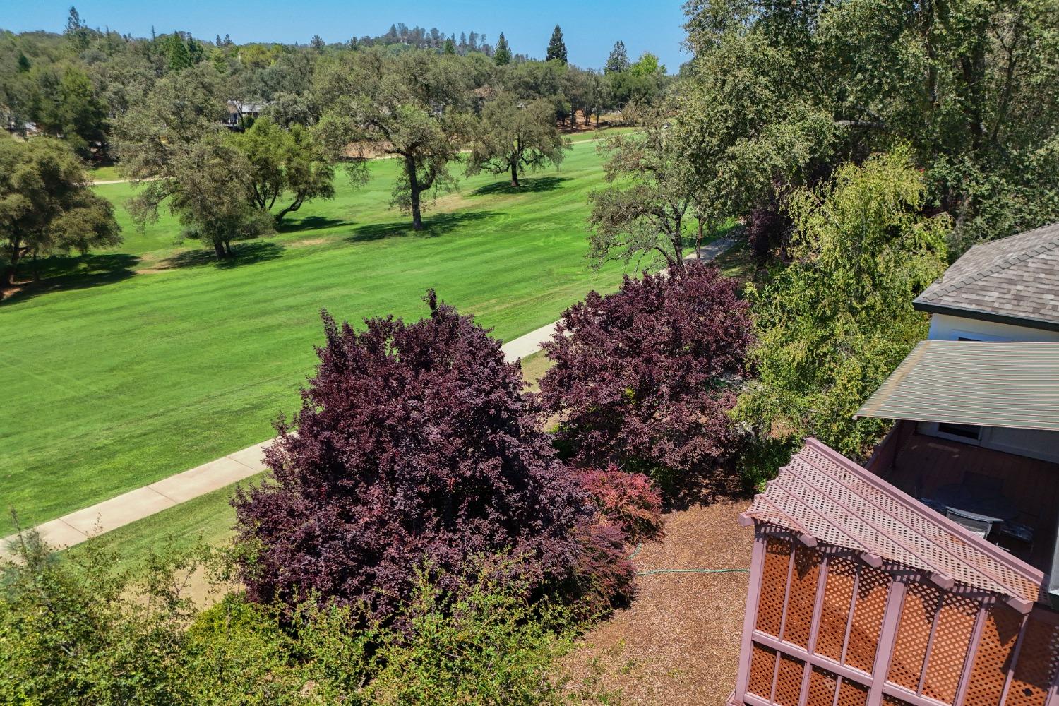 Lake Wildwood Drive, Penn Valley, California image 28