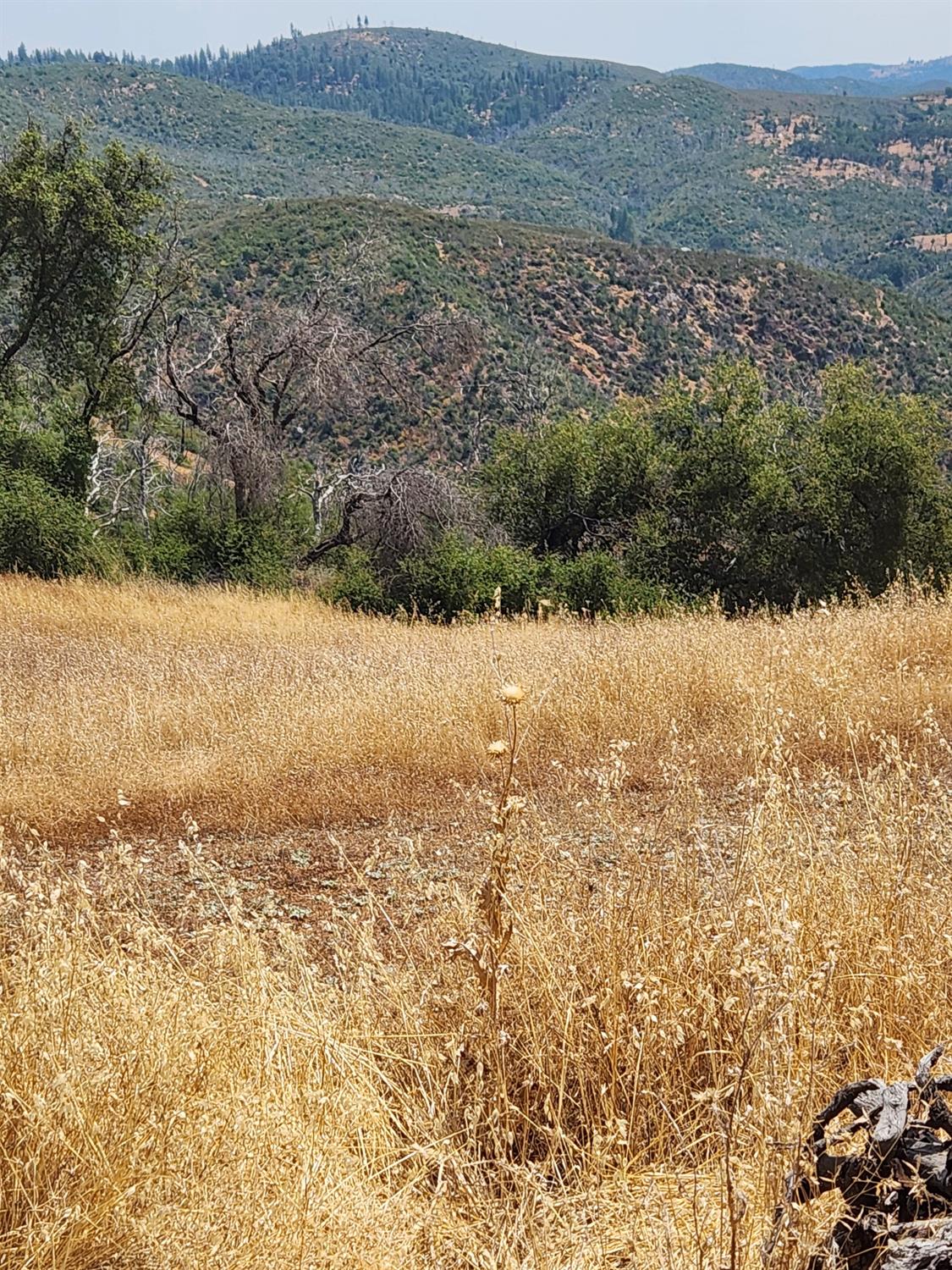 Rich Gulch Road, Mokelumne Hill, California image 5