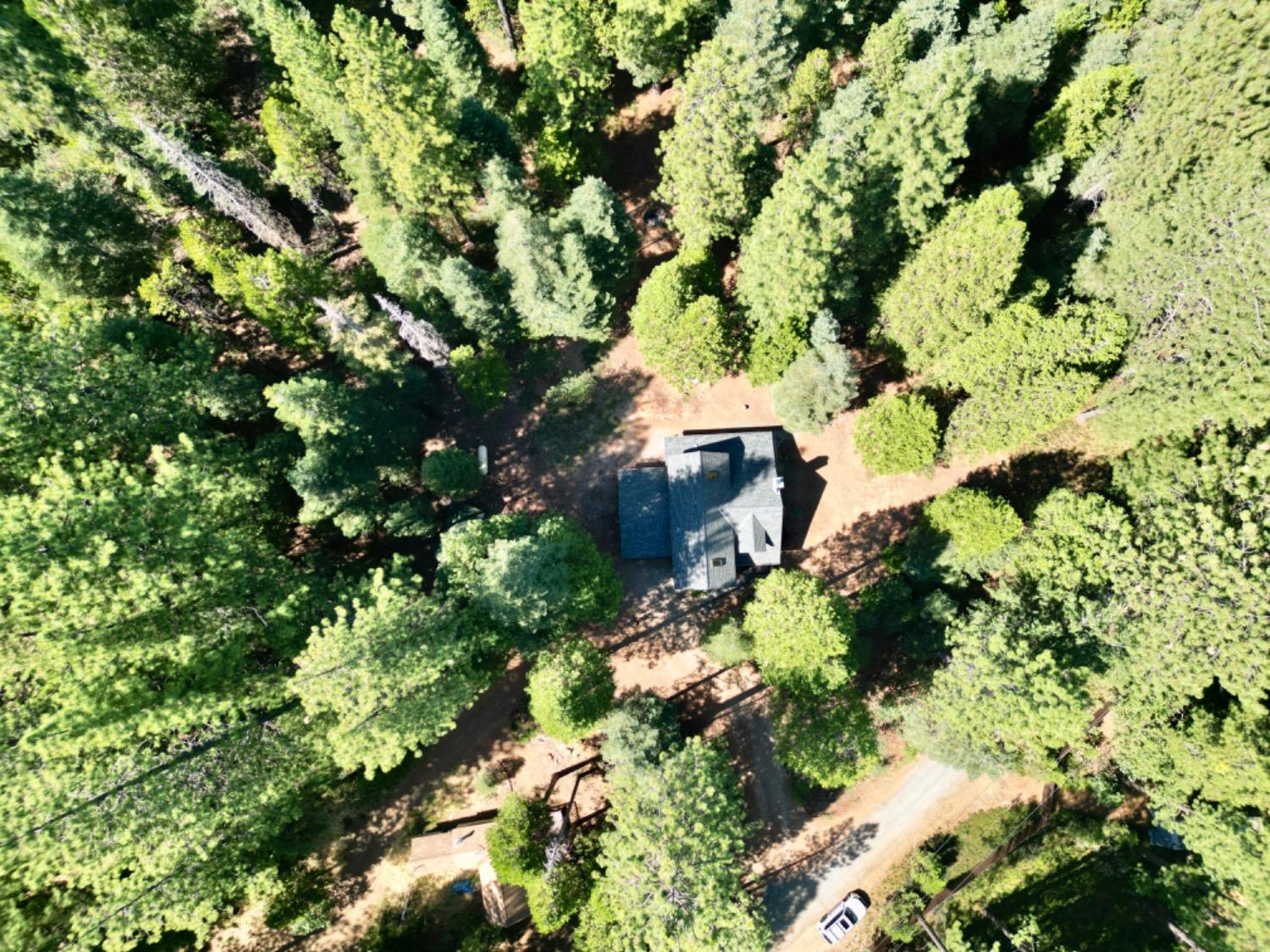 Detail Gallery Image 53 of 54 For 21370 Pine Needle Ln, Nevada City,  CA 95959 - 3 Beds | 2 Baths