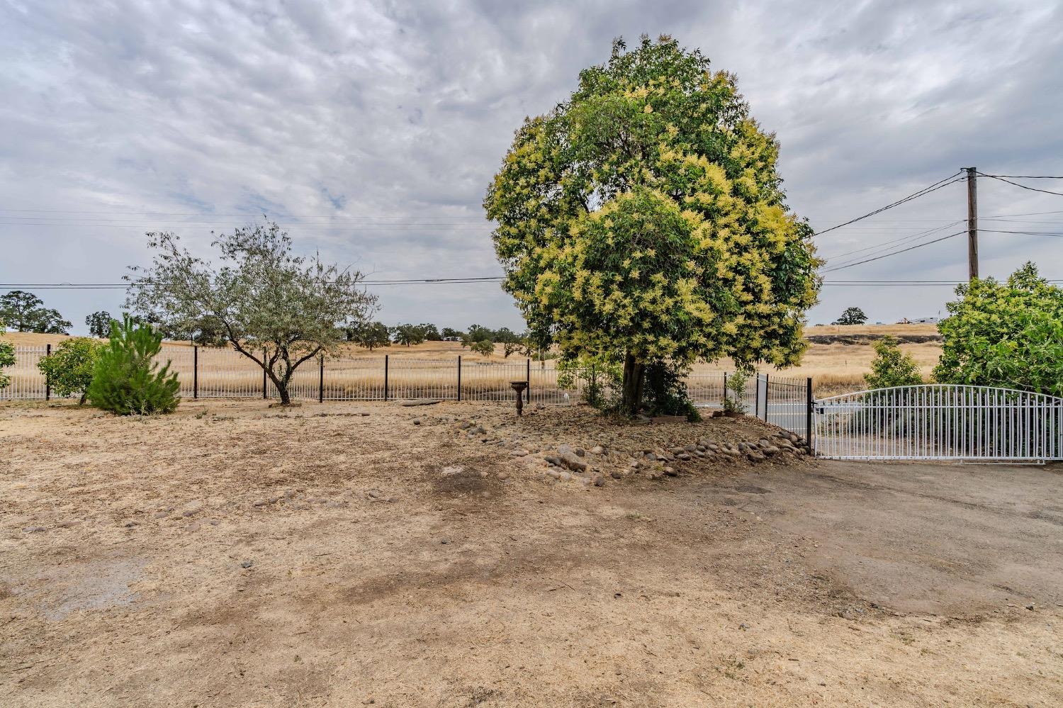 Curran Road, Ione, California image 27