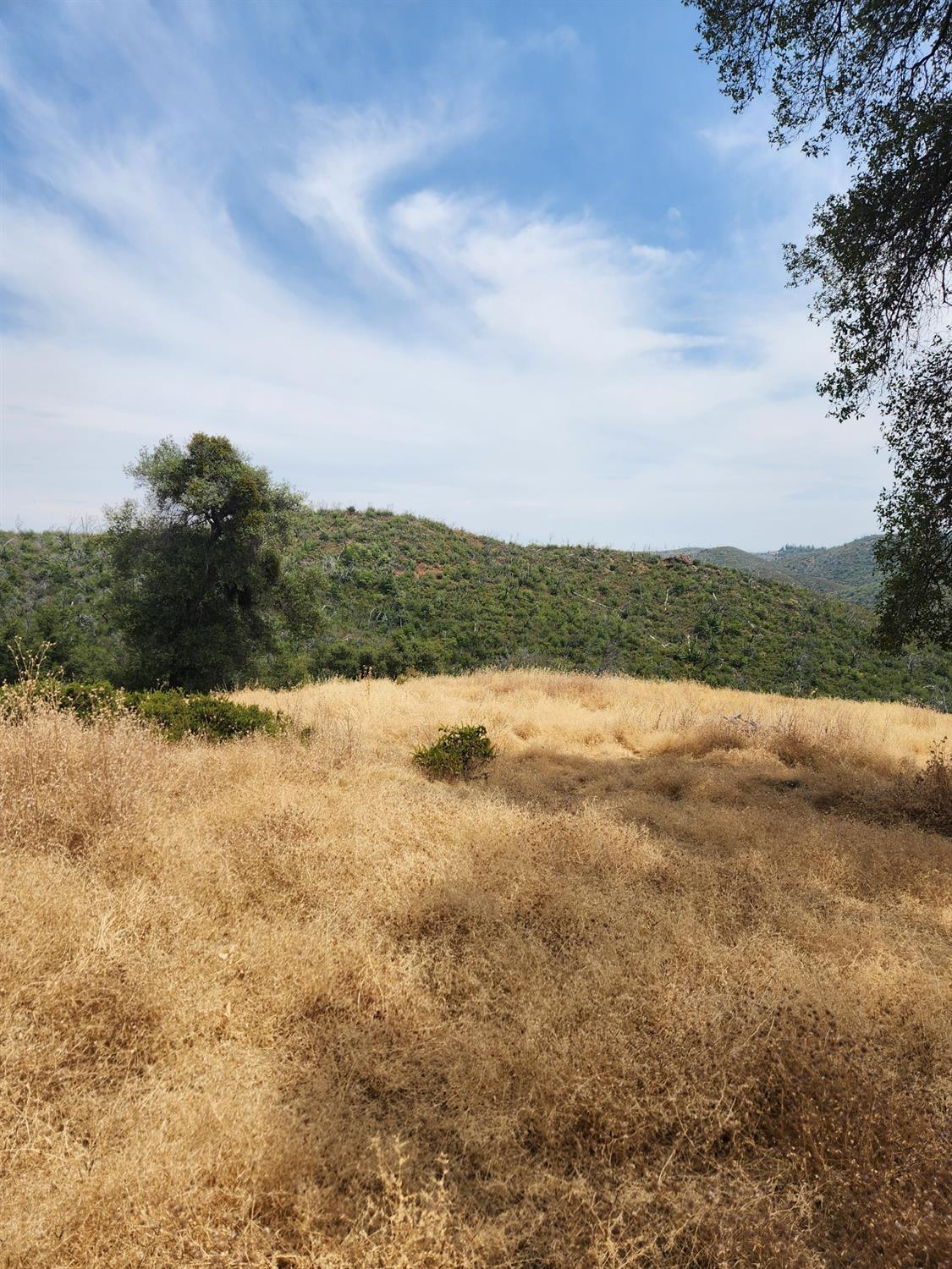 Rich Gulch Road, Mokelumne Hill, California image 4