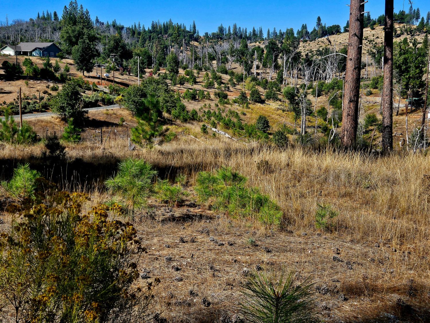 Rustlers Pass, Mountain Ranch, California image 16