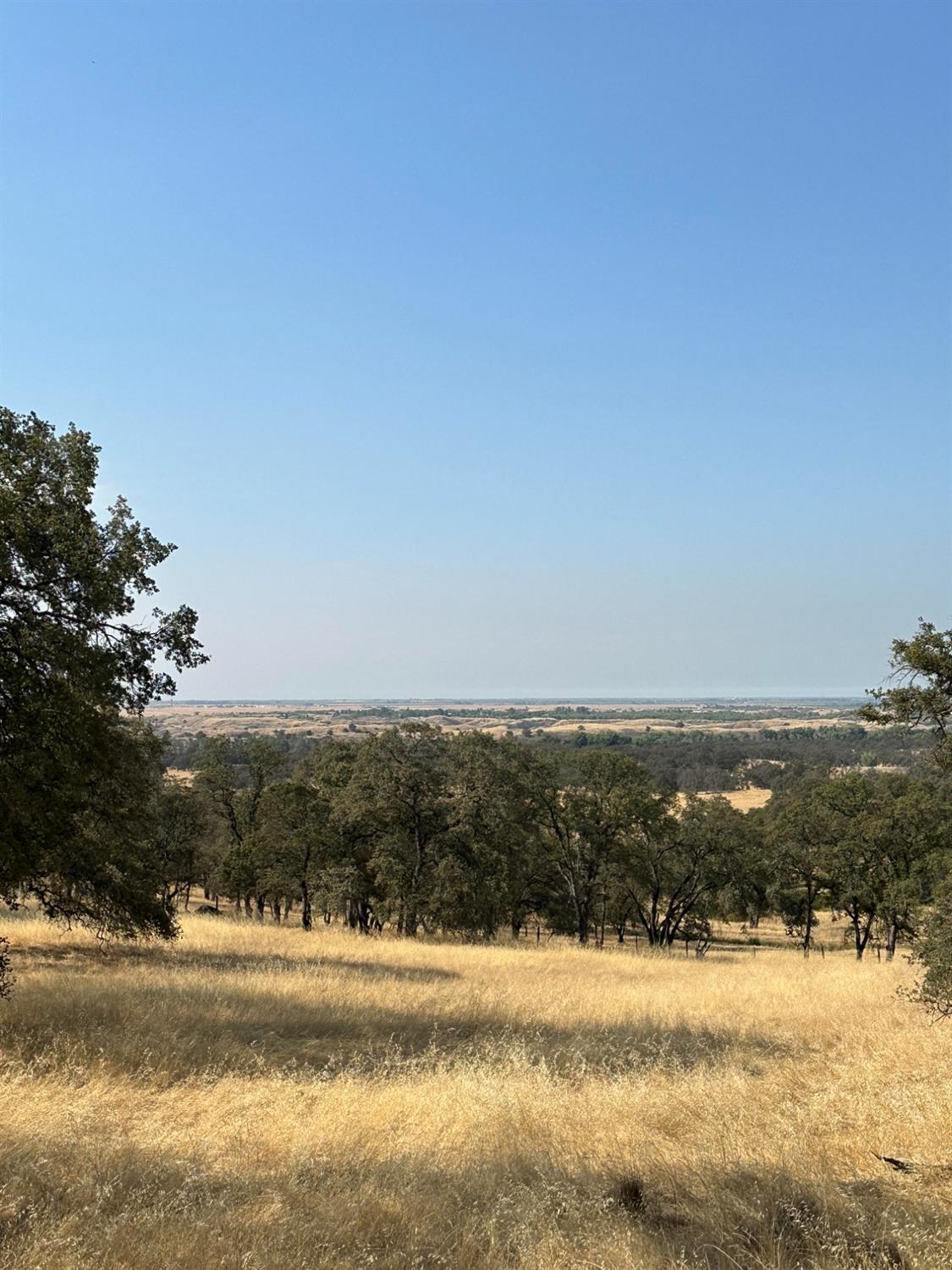 Dry Oak Drive, Browns Valley, California image 1