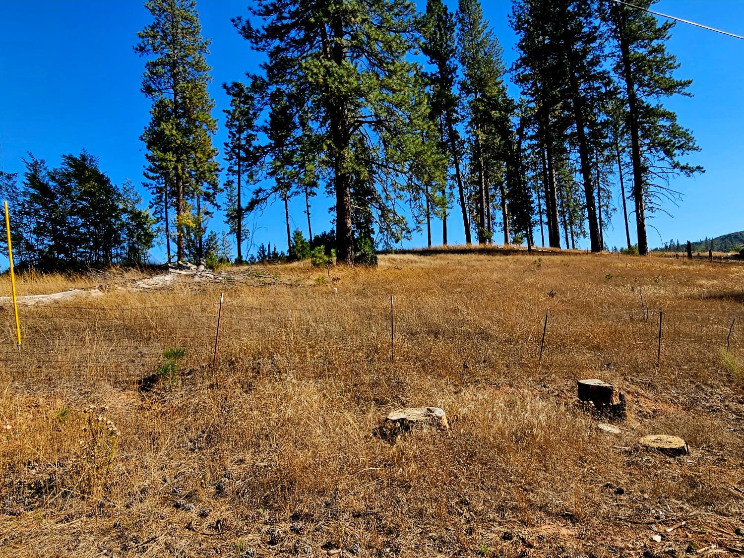 Rustlers Pass, Mountain Ranch, California image 10