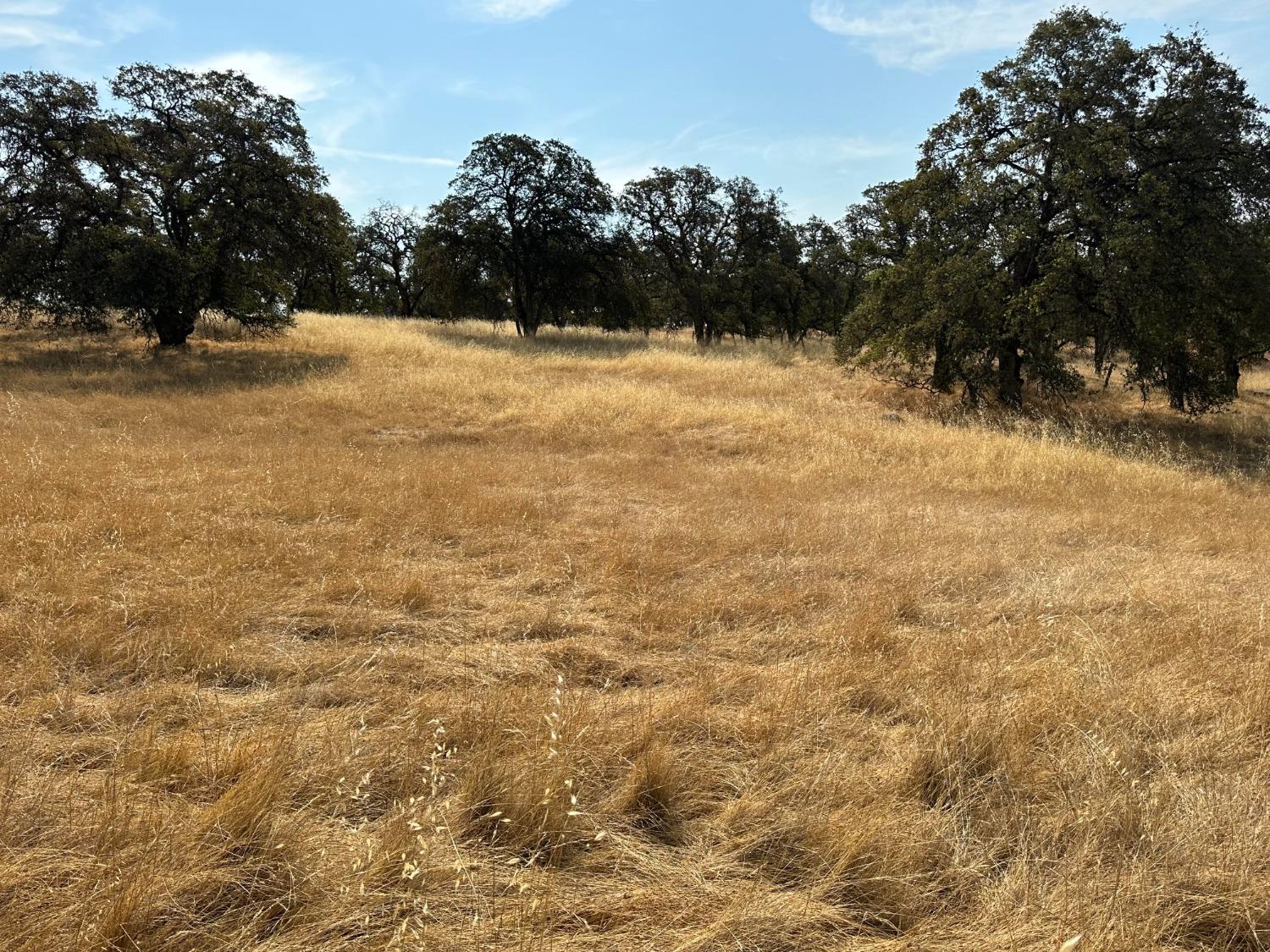 Dry Oak Drive, Browns Valley, California image 6