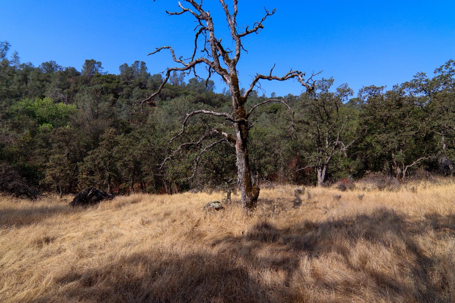 N Redhill Way, Browns Valley, California image 15