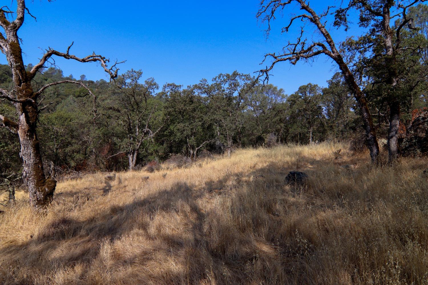 N Redhill Way, Browns Valley, California image 9