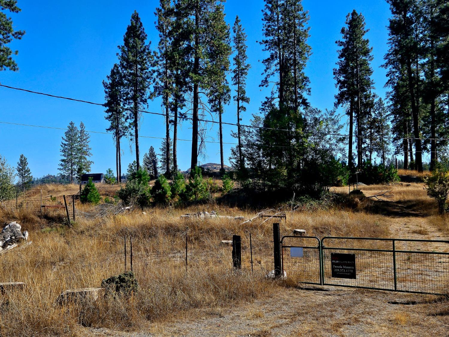 Rustlers Pass, Mountain Ranch, California image 2