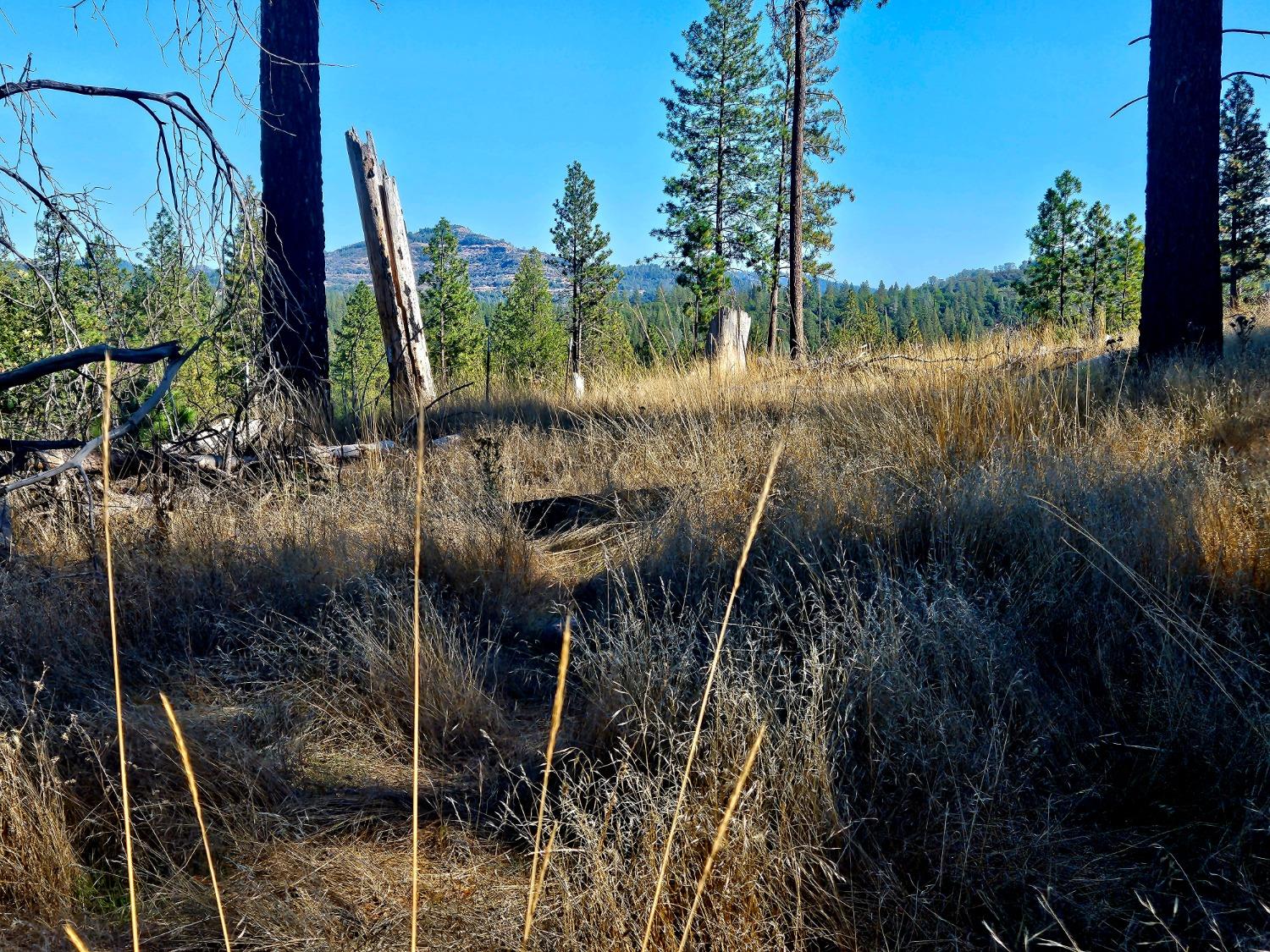 Rustlers Pass, Mountain Ranch, California image 14