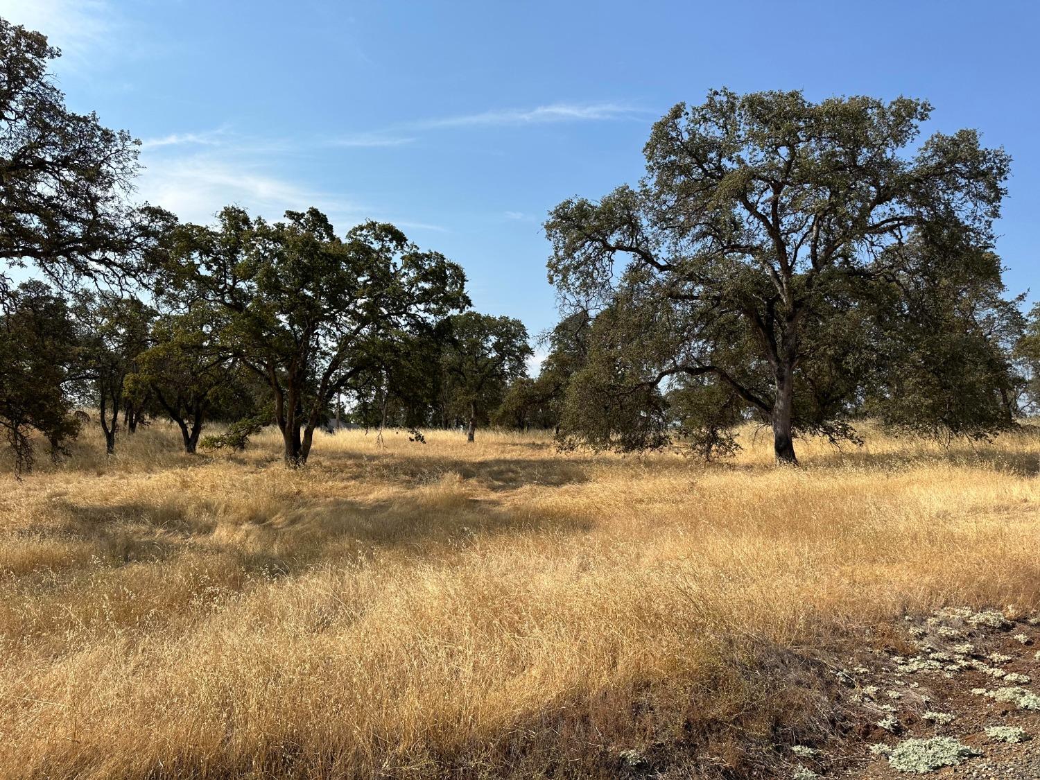 Dry Oak Drive, Browns Valley, California image 3