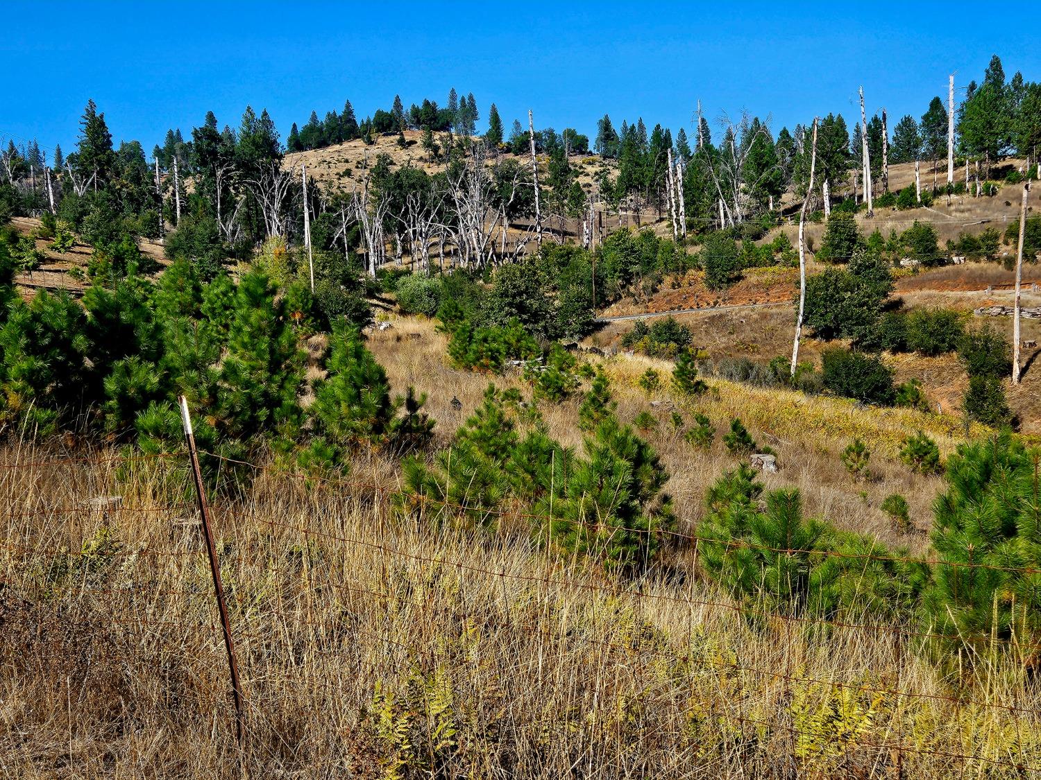 Rustlers Pass, Mountain Ranch, California image 6