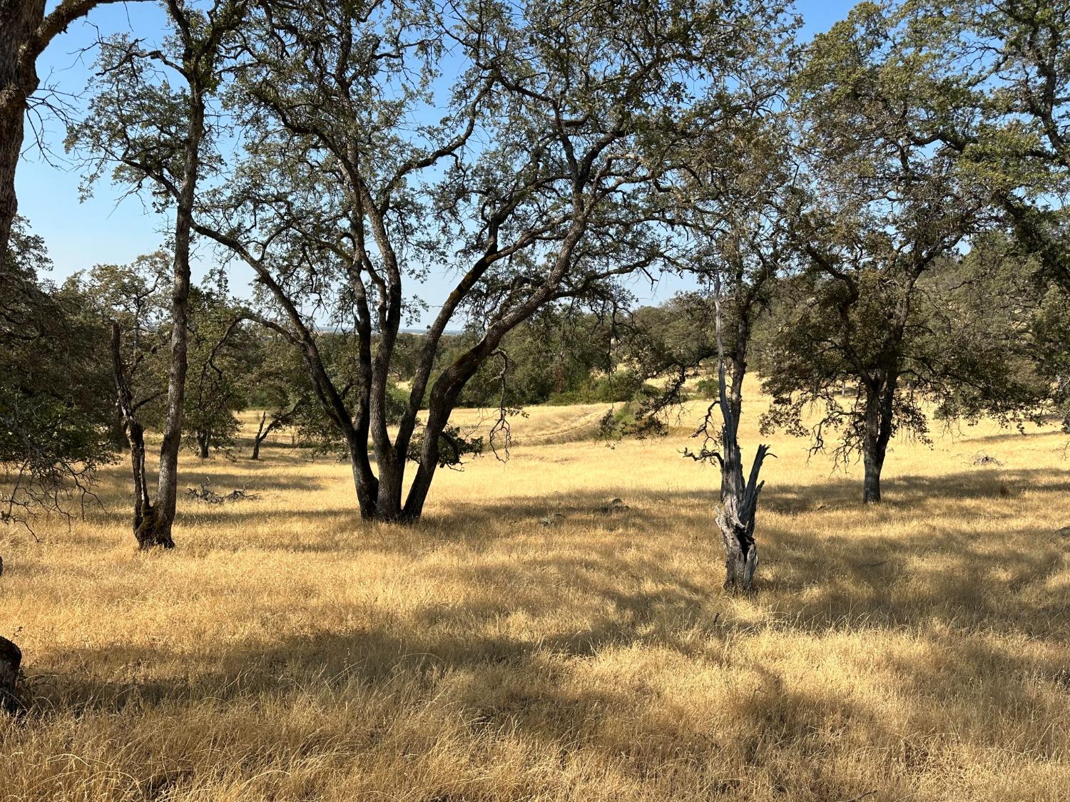 Dry Oak Drive, Browns Valley, California image 5