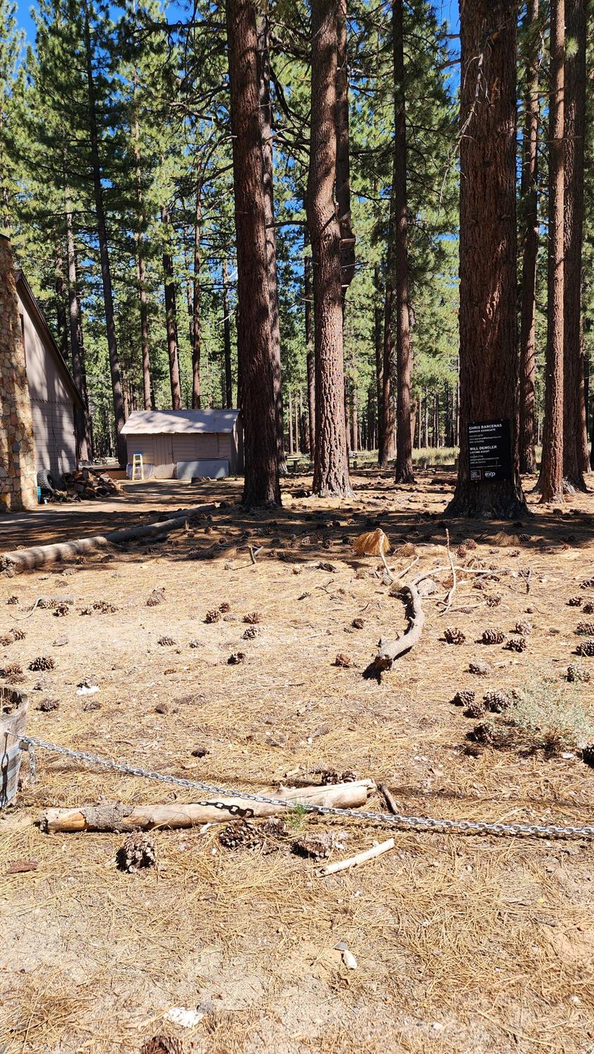 Fountain Avenue, South Lake Tahoe, California image 7