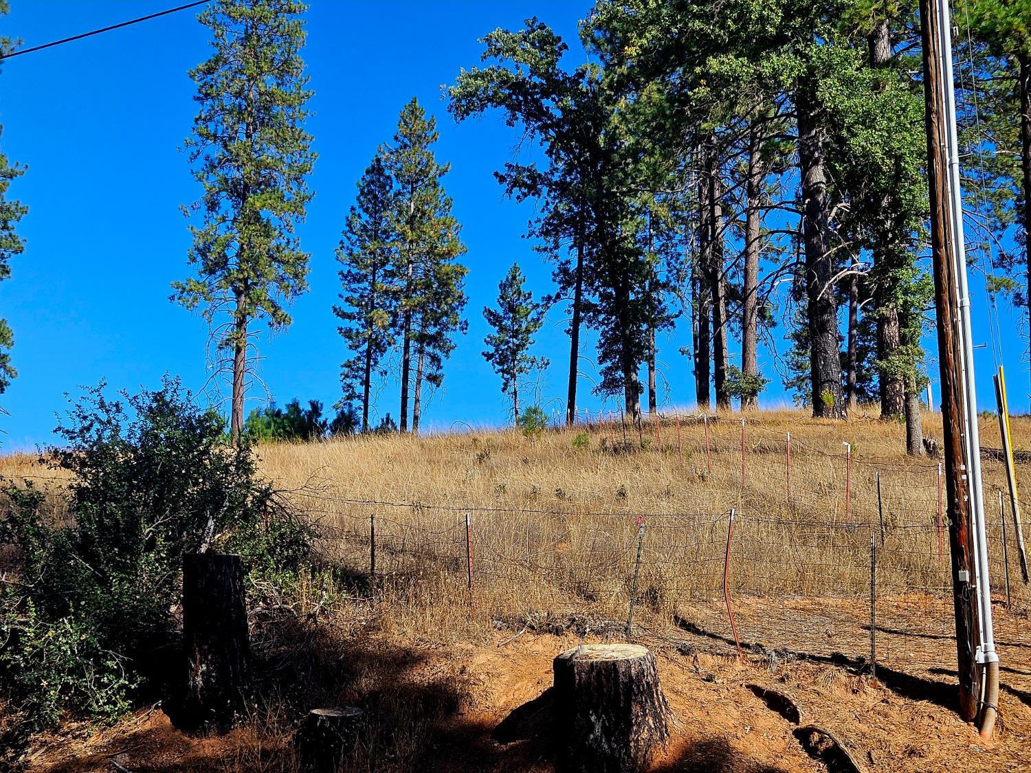 Rustlers Pass, Mountain Ranch, California image 8