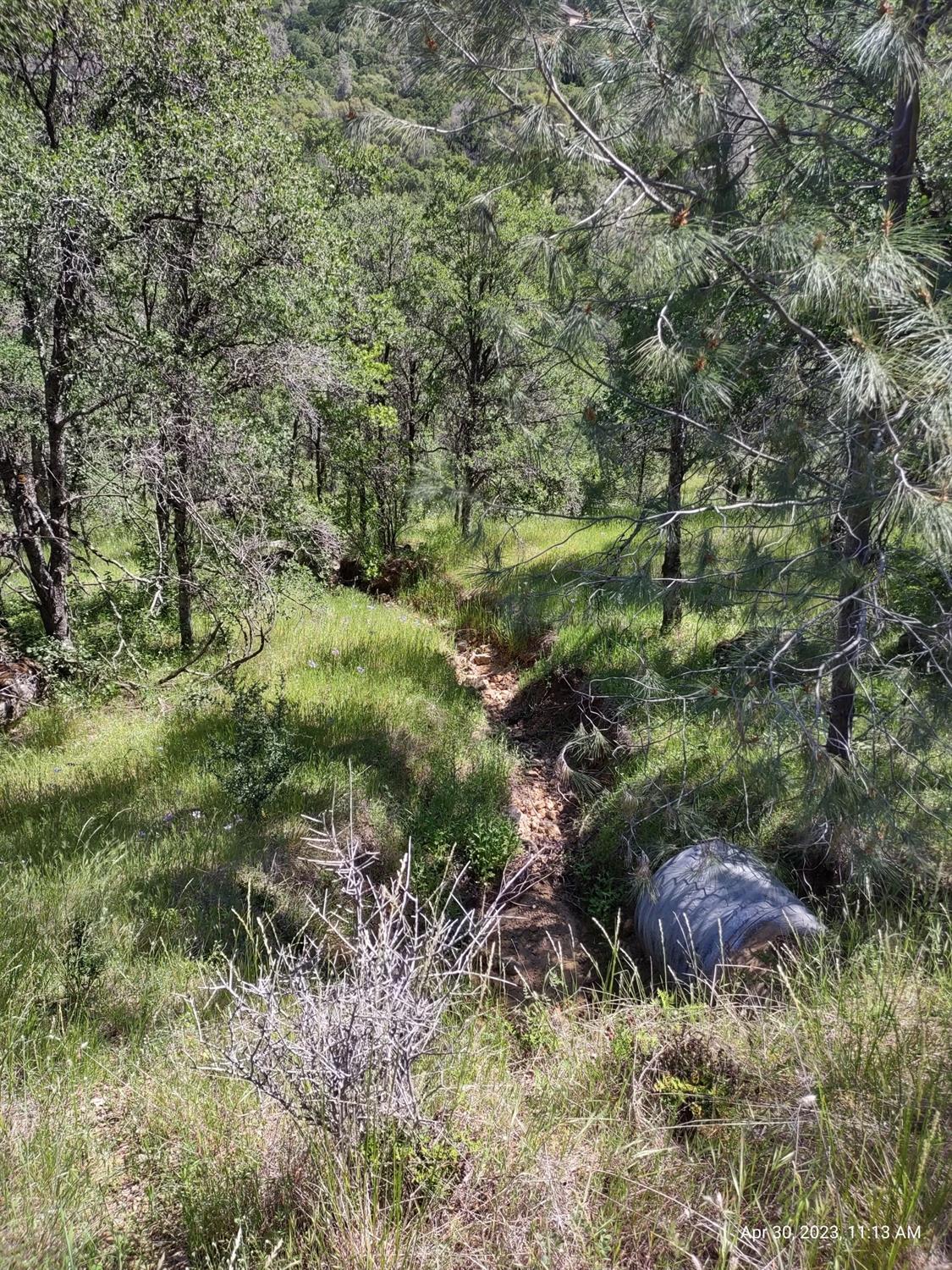 N Redhill Way, Browns Valley, California image 6