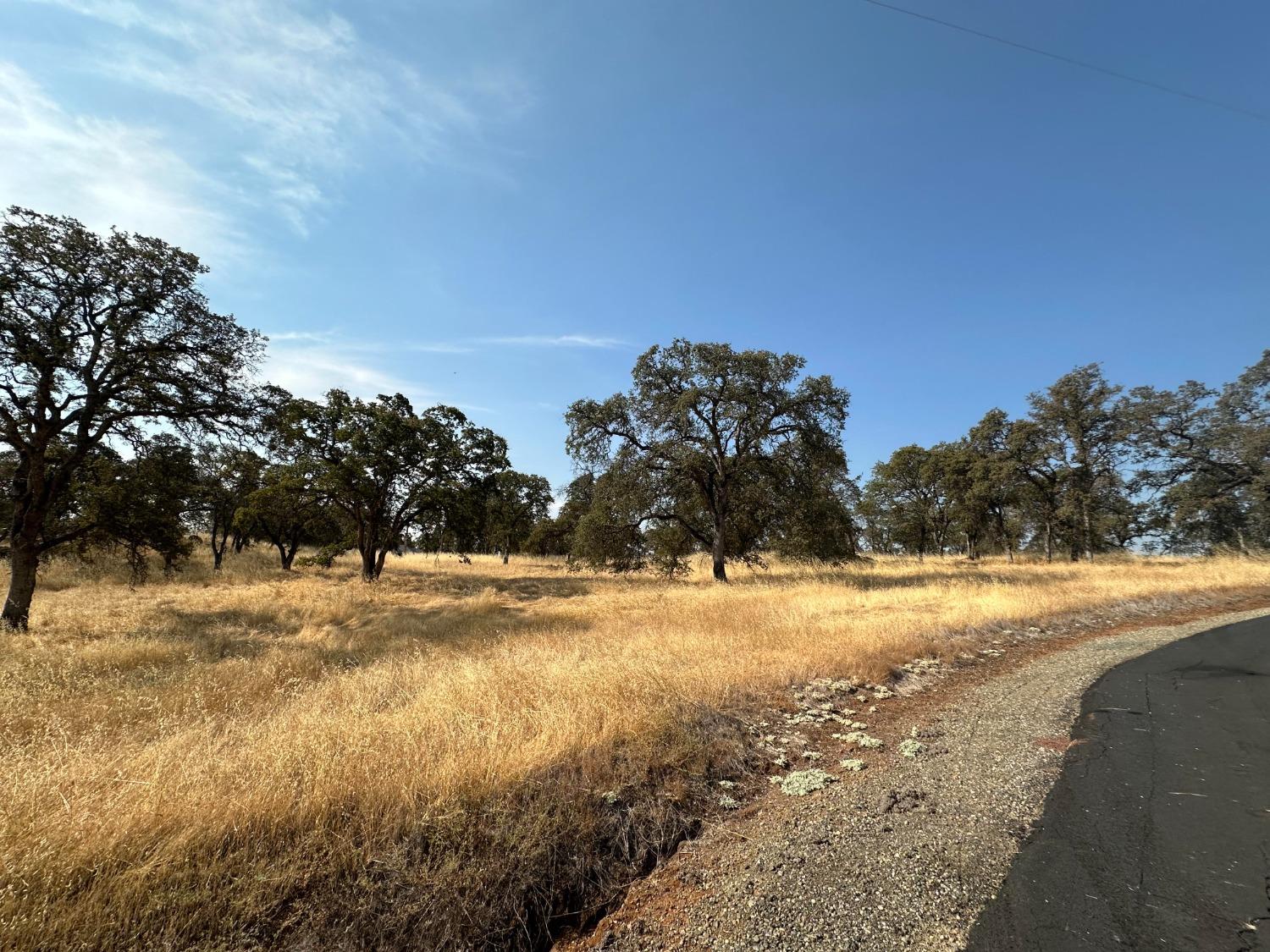 Dry Oak Drive, Browns Valley, California image 7