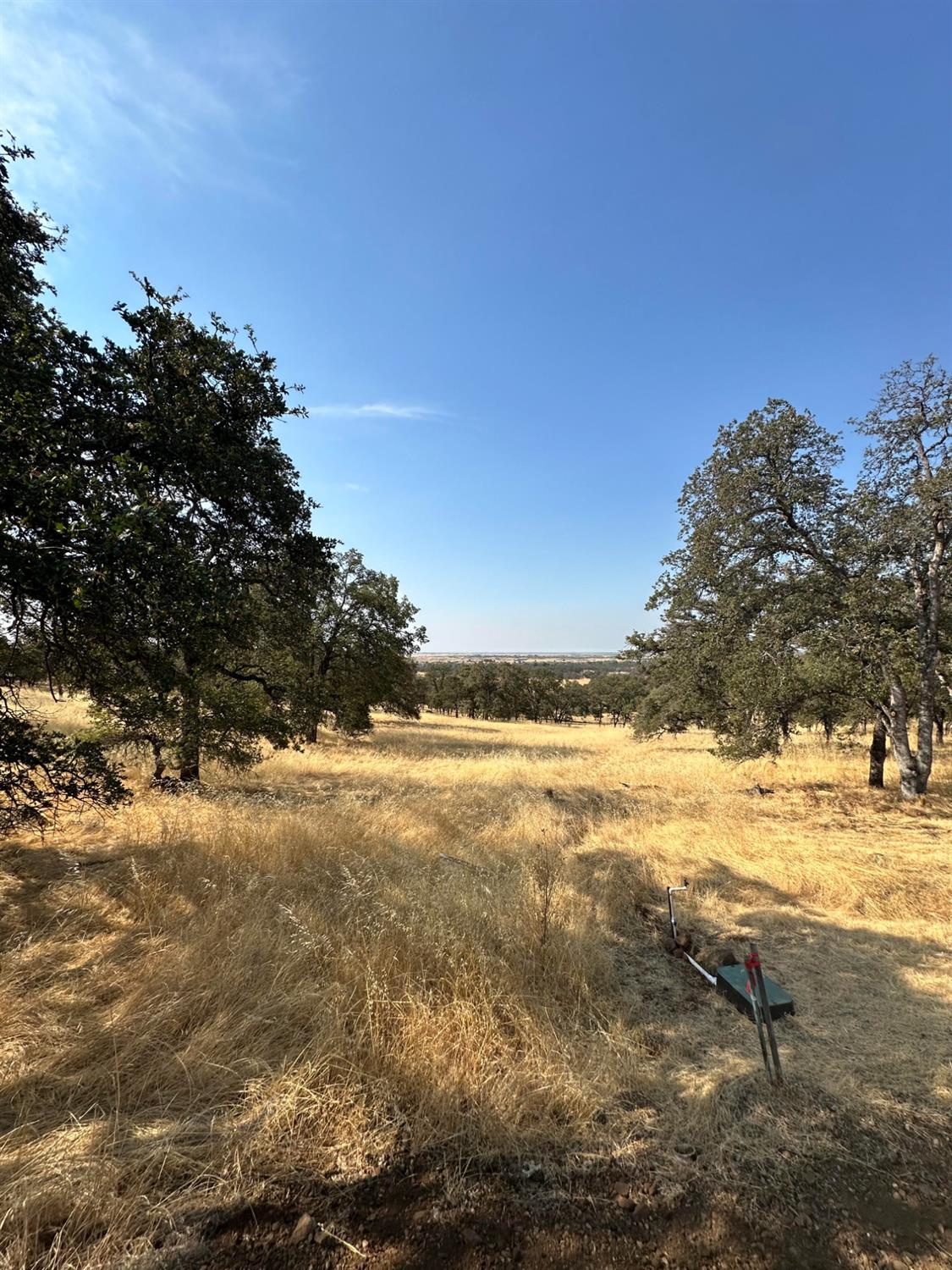 Dry Oak Drive, Browns Valley, California image 2