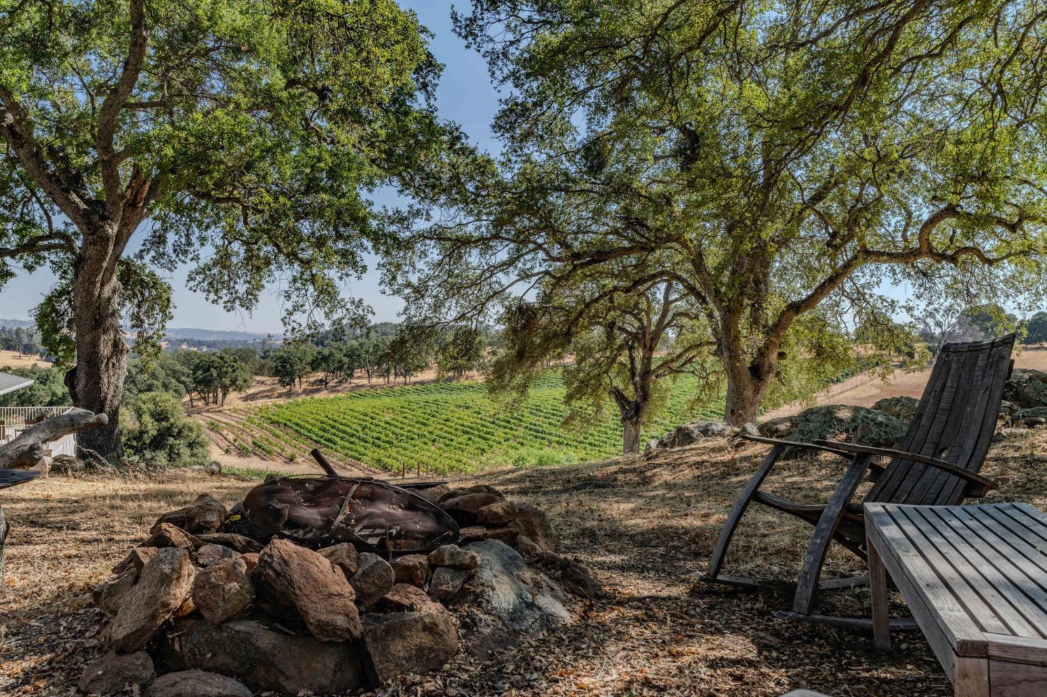 Detail Gallery Image 12 of 71 For 10731 Shenandoah Rd, Plymouth,  CA 95669 - 3 Beds | 3 Baths