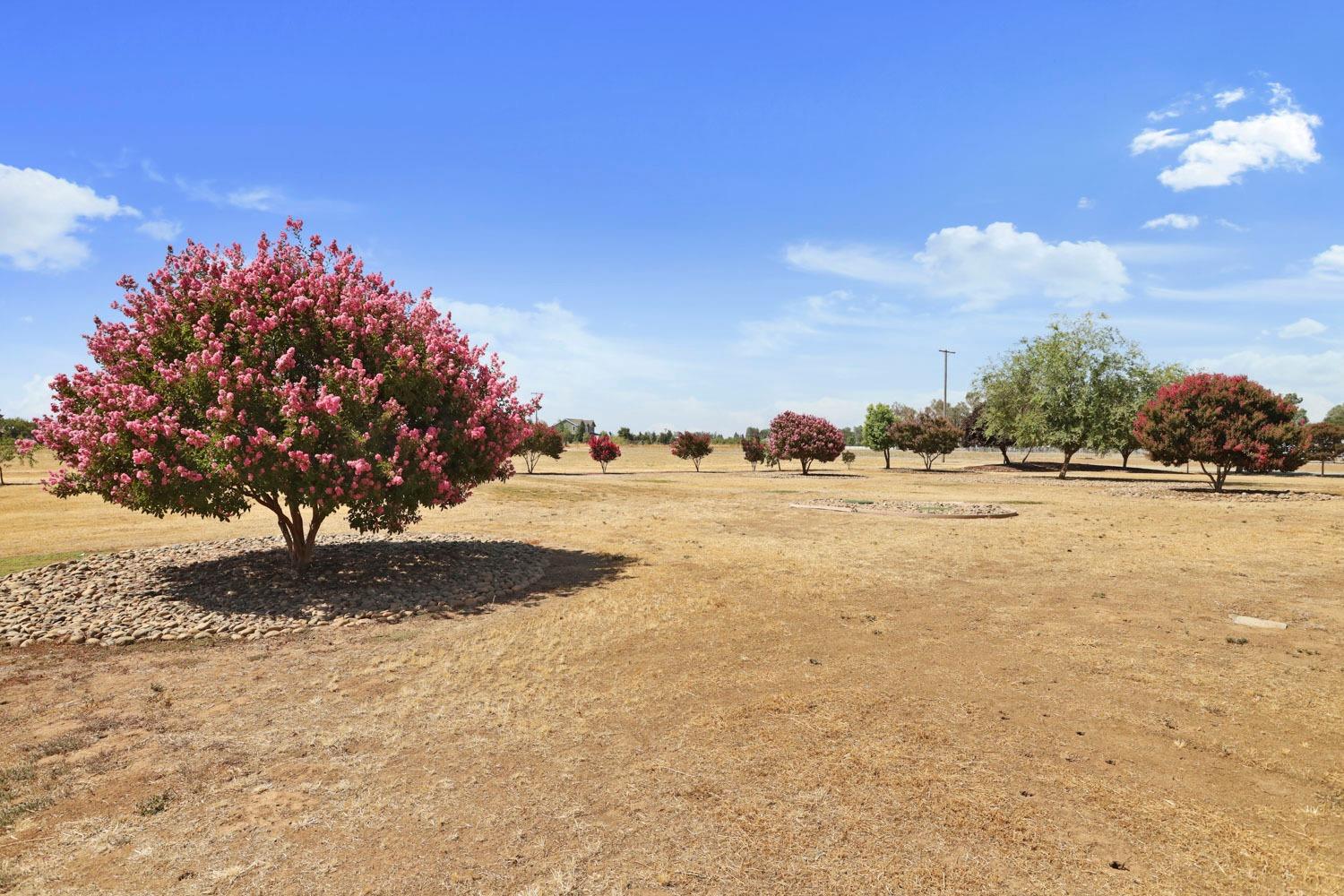 Detail Gallery Image 51 of 71 For 10090 E Collier Rd, Acampo,  CA 95220 - 5 Beds | 2/1 Baths